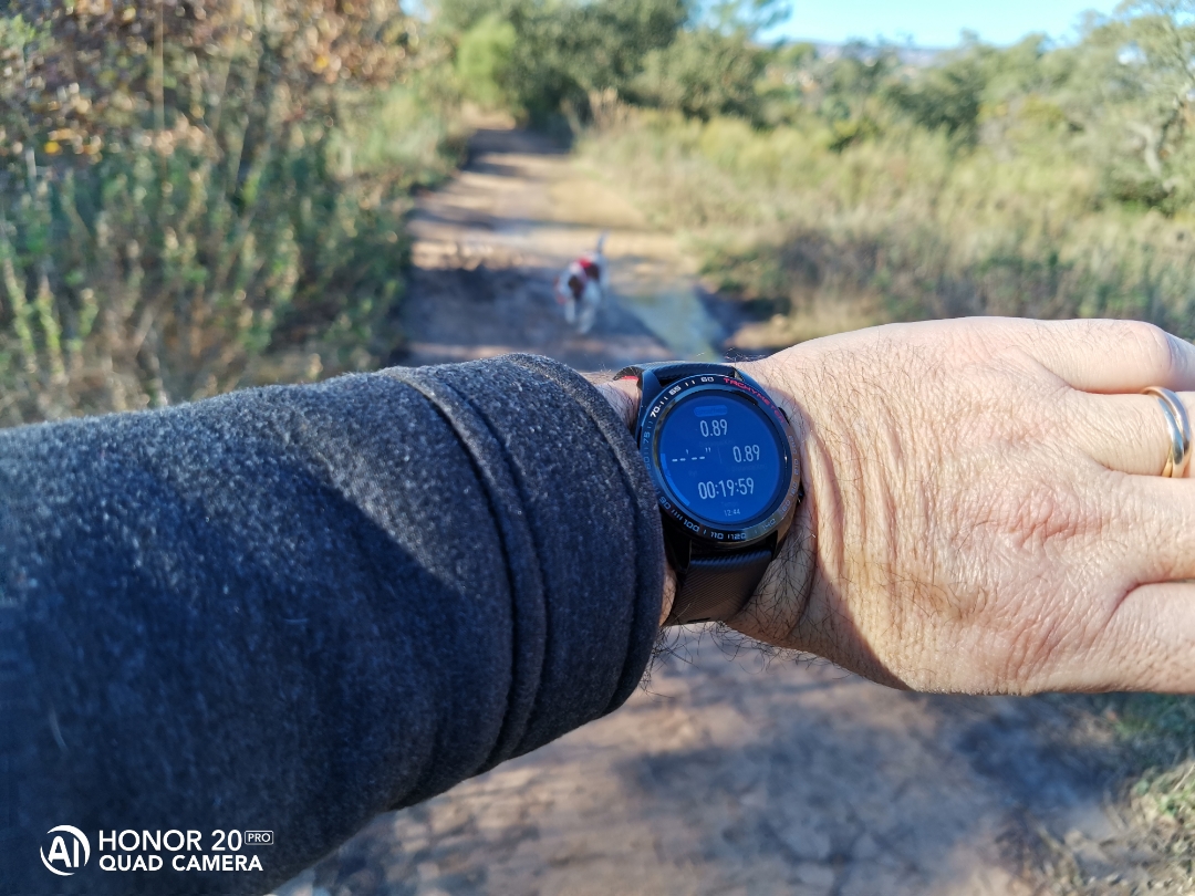 pimg-srchttpsiforum-dechihonorcomfrdataimages20201213eaab4fa9-5785