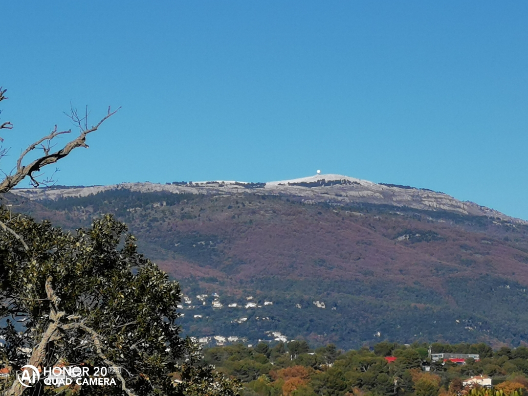 pimg-srchttpsiforum-dechihonorcomfrdataimages20201213eaab4fa9-5785