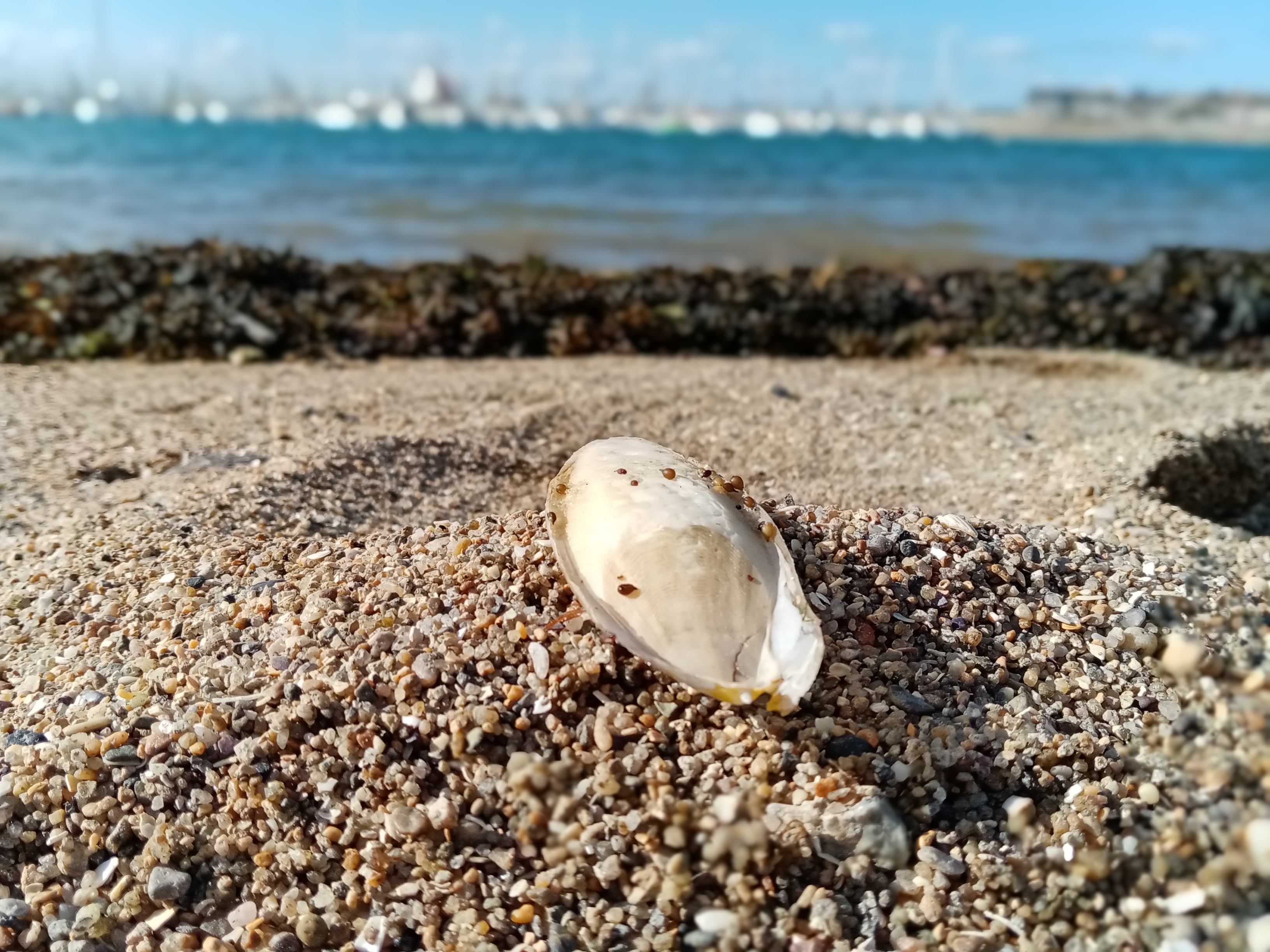 pspanBonjourspanppspanbrspanppspanAujourdhui-nous-allons-découvrir