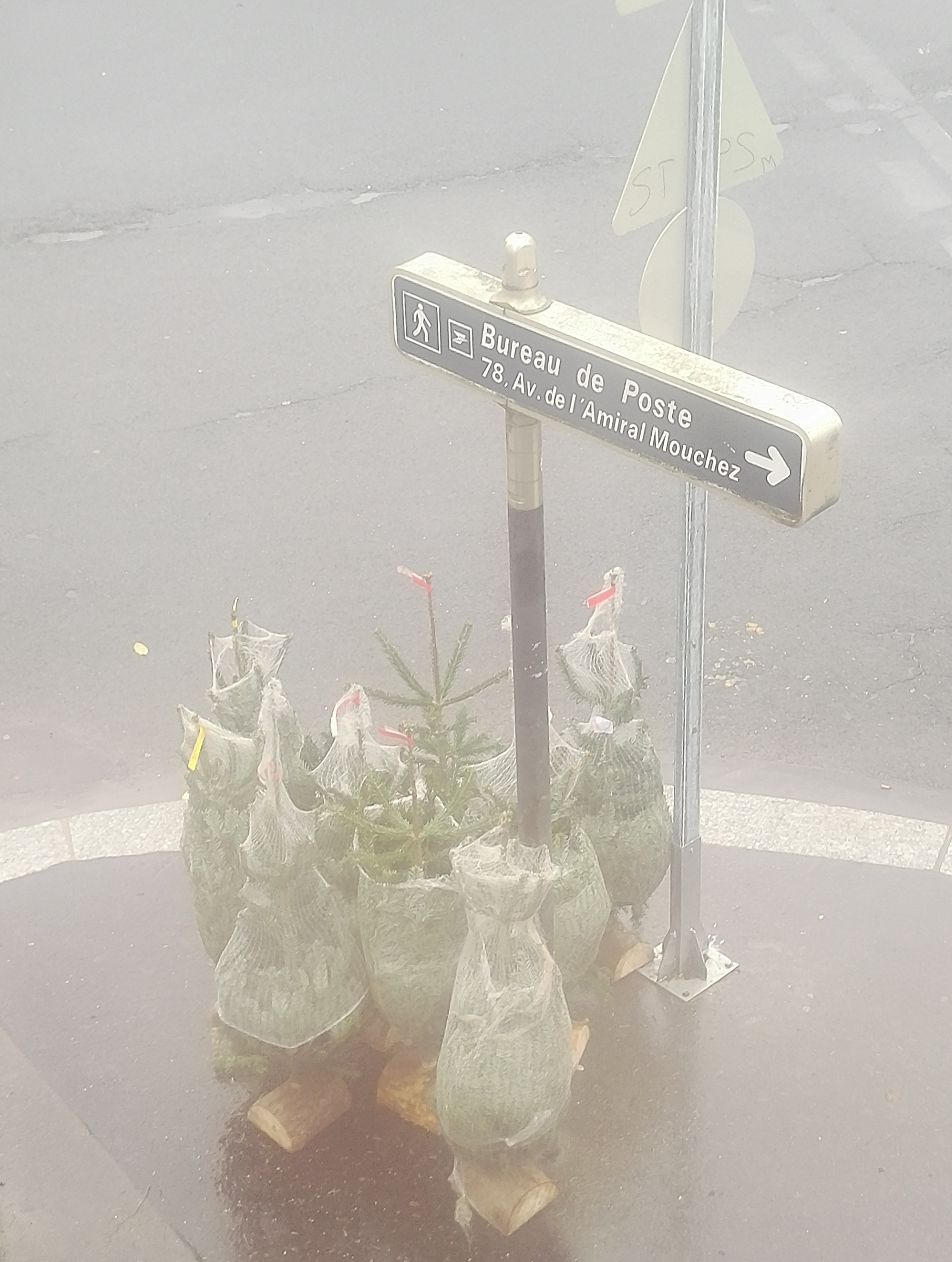 pimg-srchttpsiforum-dechihonorcomfrdataimages202012225d221d2d-f2fa