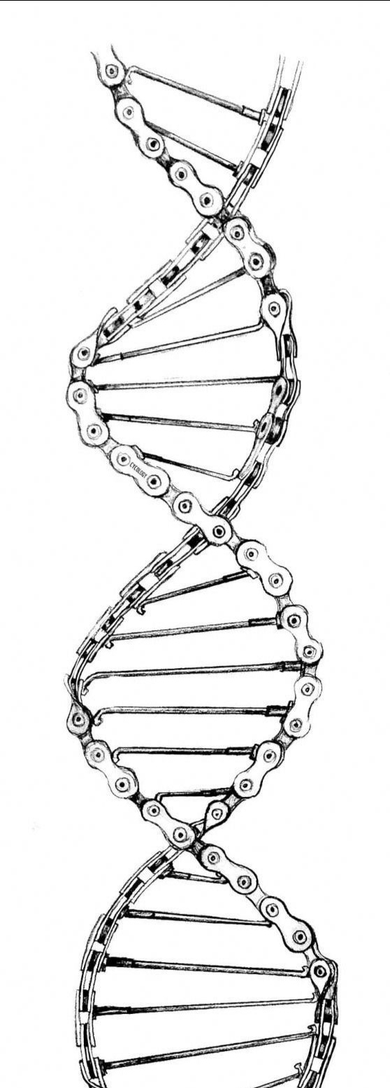 SOME-PHONE-WALLPAPER