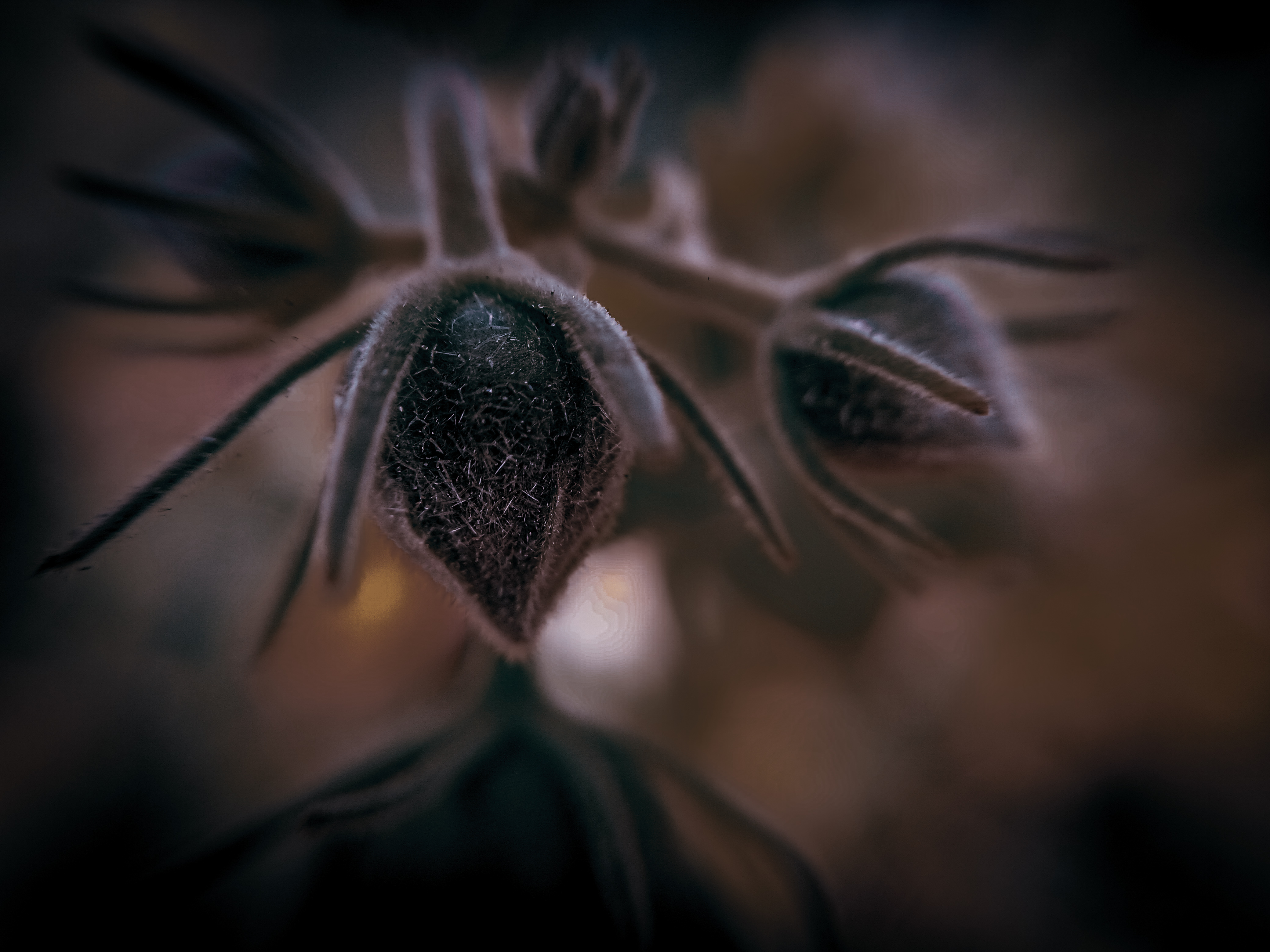 pspan-stylefont-size16pxBonjour-à-tousspanppspan-stylefont