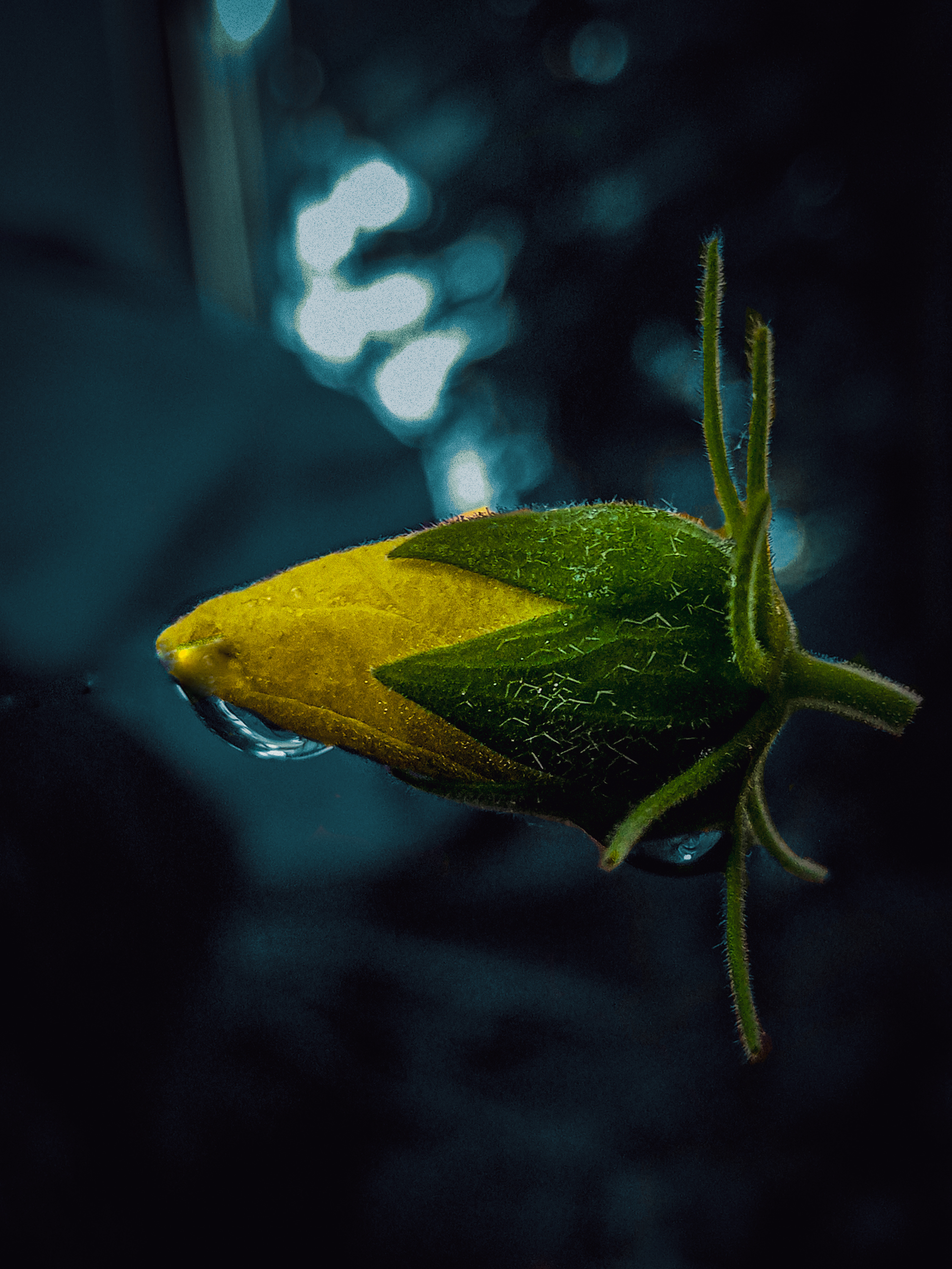 pspan-stylefont-size16pxBonjour-à-tousspanppspan-stylefont