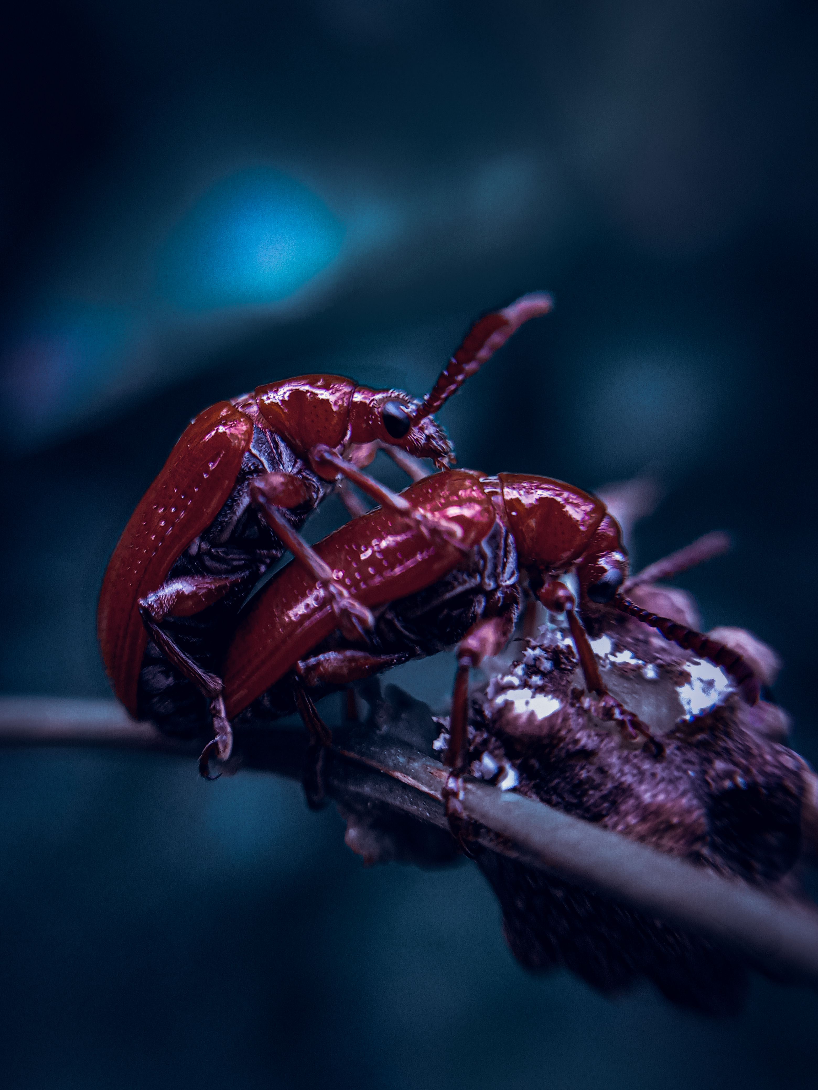 pspan-stylefont-size16pxBonjour-à-tousspanppspan-stylefont