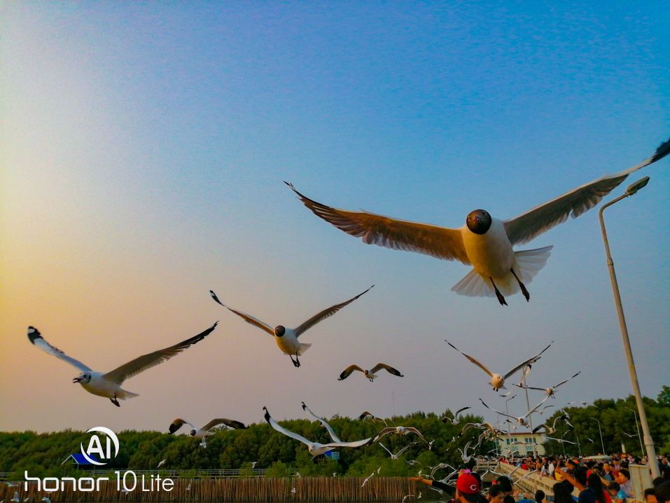 pspanemstrongBonsoir-à-tous-mes-chers