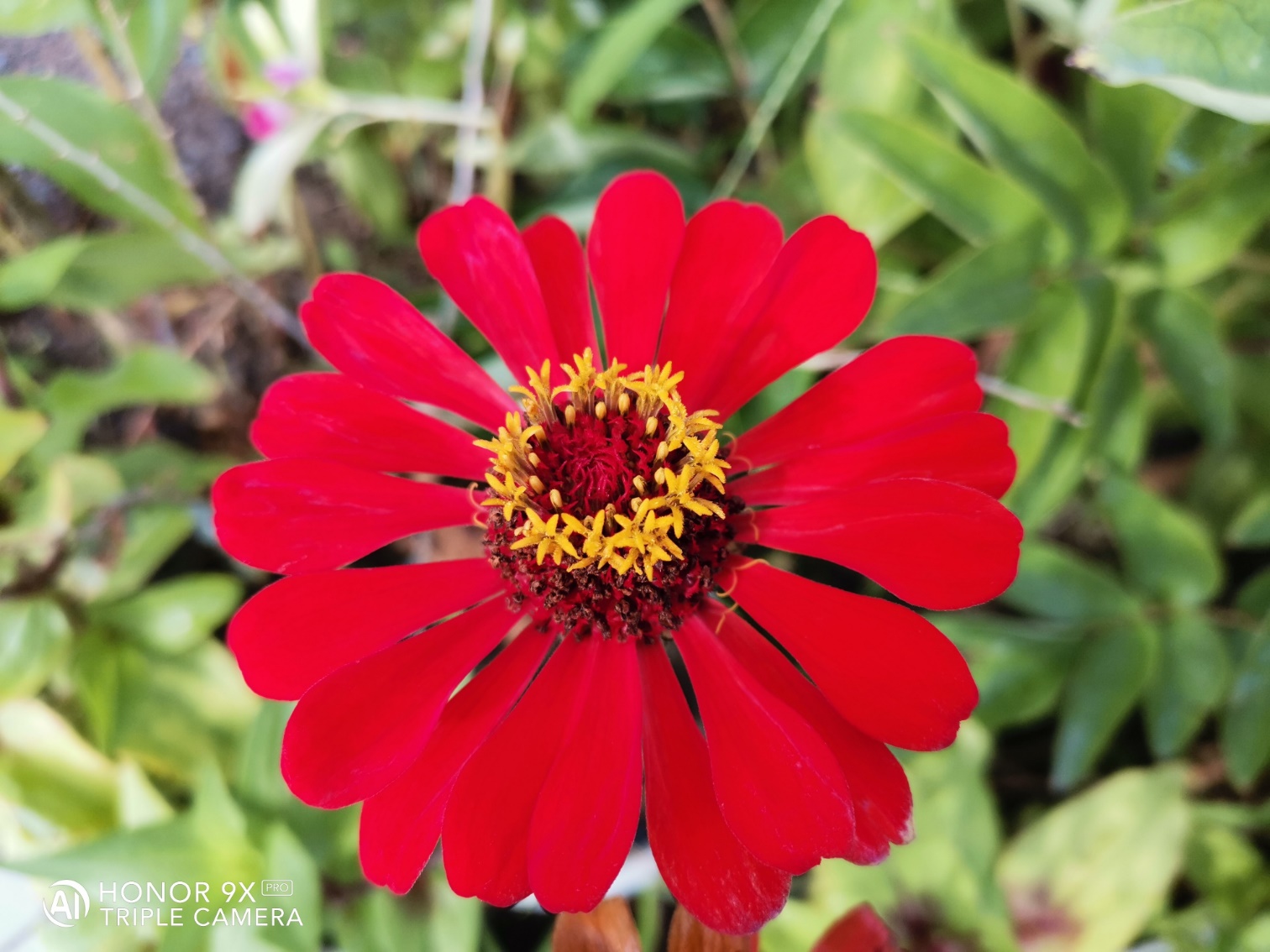 HONOR-9X-Pro-Aspect-pratique-ensemble-attrayant-à-un-prix-attractif