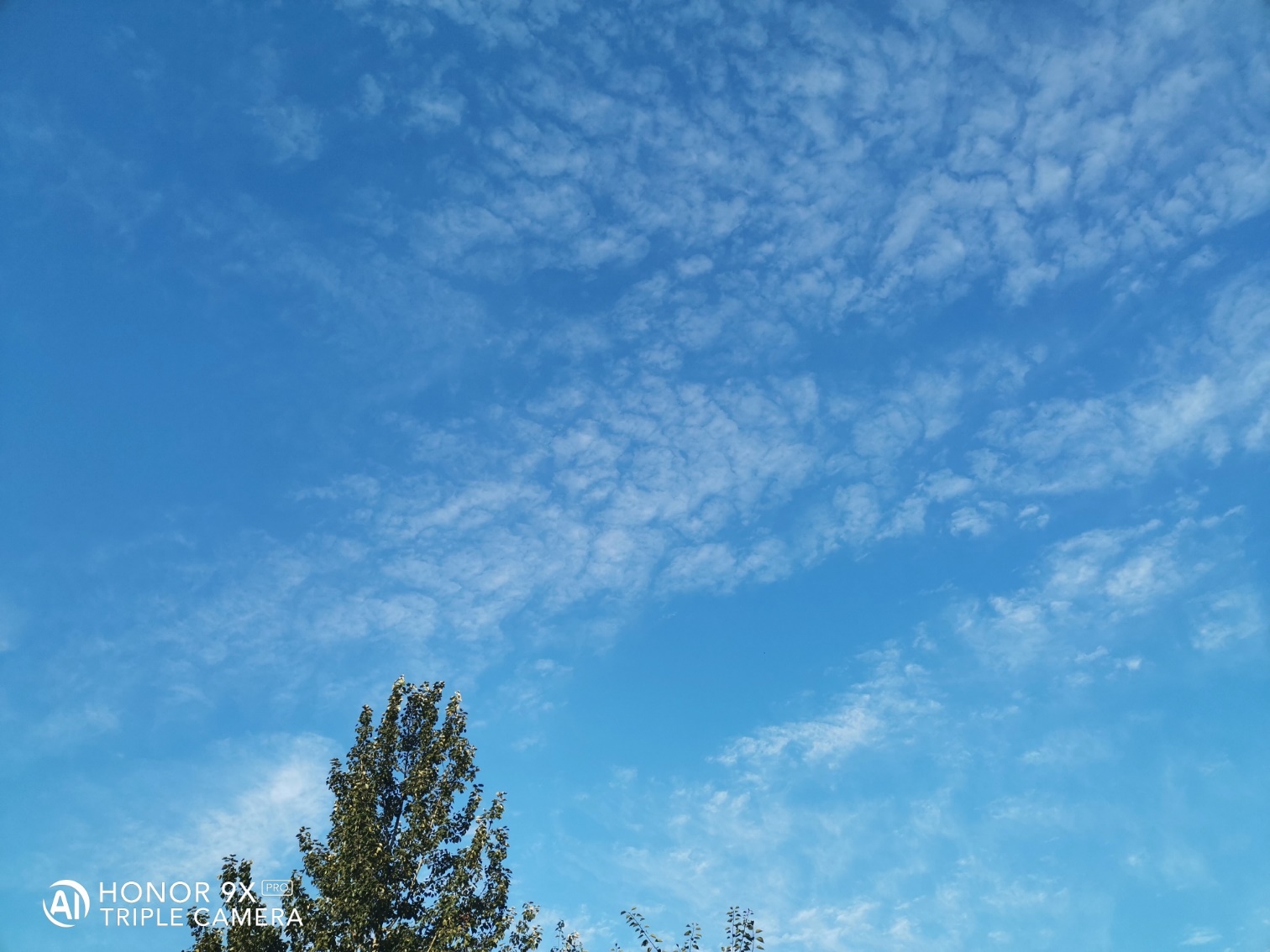 HONOR-9X-Pro-Aspect-pratique-ensemble-attrayant-à-un-prix-attractif