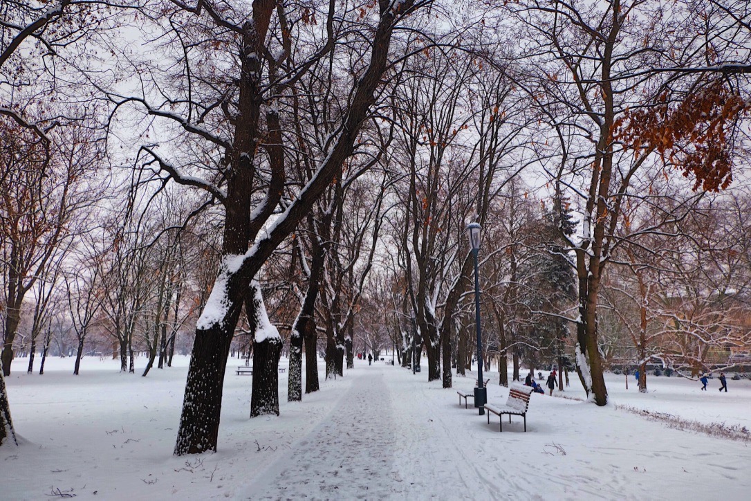 pspan-styleletter-spacing-009pxNoël-approche-à-grands-pas-et-vous