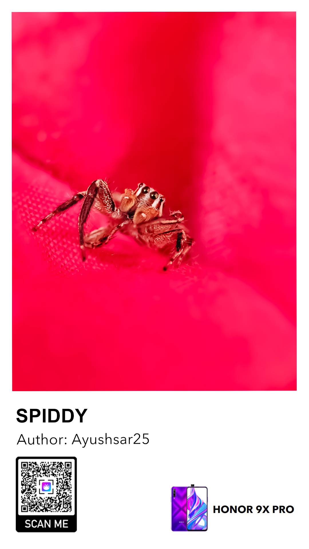 Découvrez-les-meilleur-wallpapers-sur-HONOR-9AHONOR-9X-Pro-