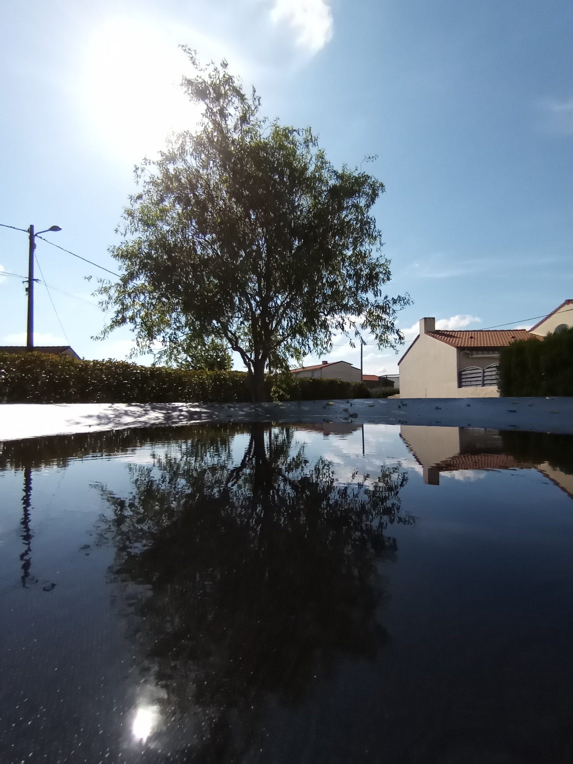 pbrppimg-srchttpsiforum-dechihonorcomfrdataimages202081278fd1fb8-dd7e