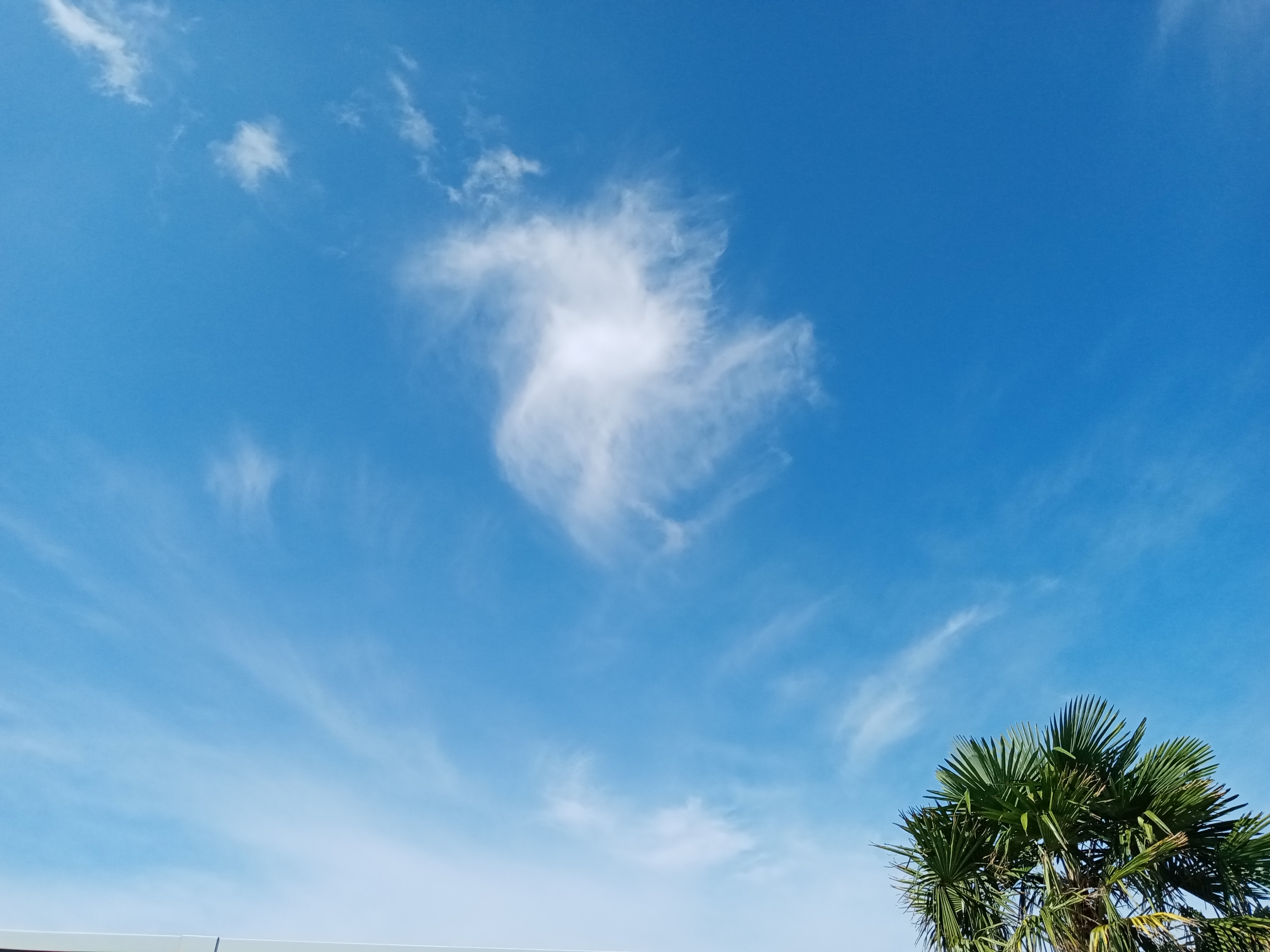 pbrppimg-srchttpsiforum-dechihonorcomfrdataimages202081278fd1fb8-dd7e