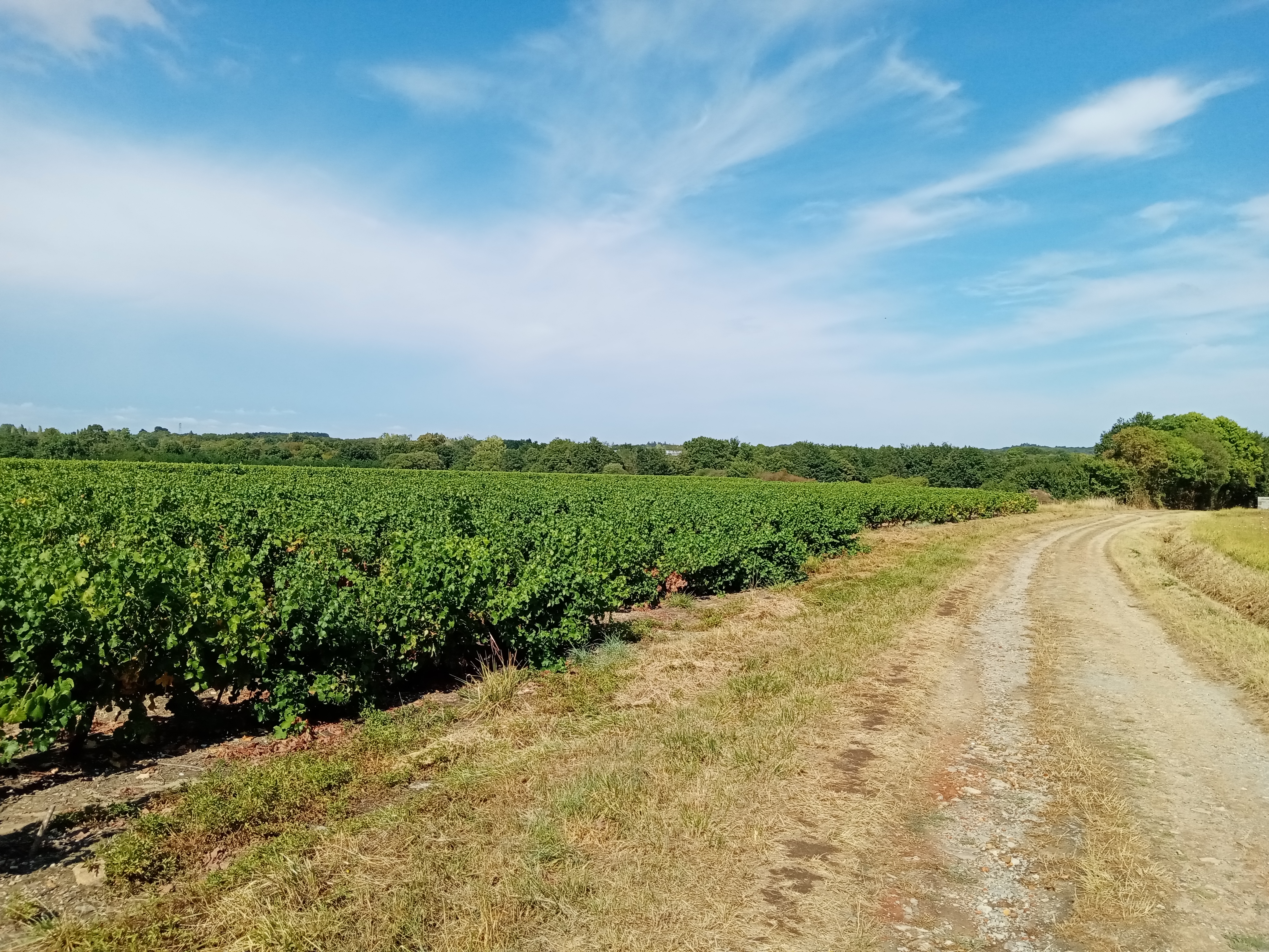 pbrppimg-srchttpsiforum-dechihonorcomfrdataimages202081278fd1fb8-dd7e