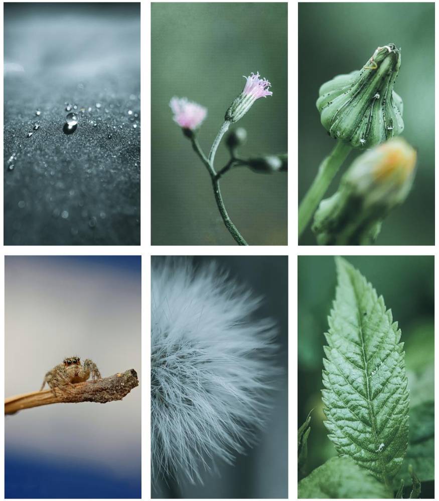 Découvrez-les-meilleur-wallpapers-sur-HONOR-9AHONOR-9X-Pro-