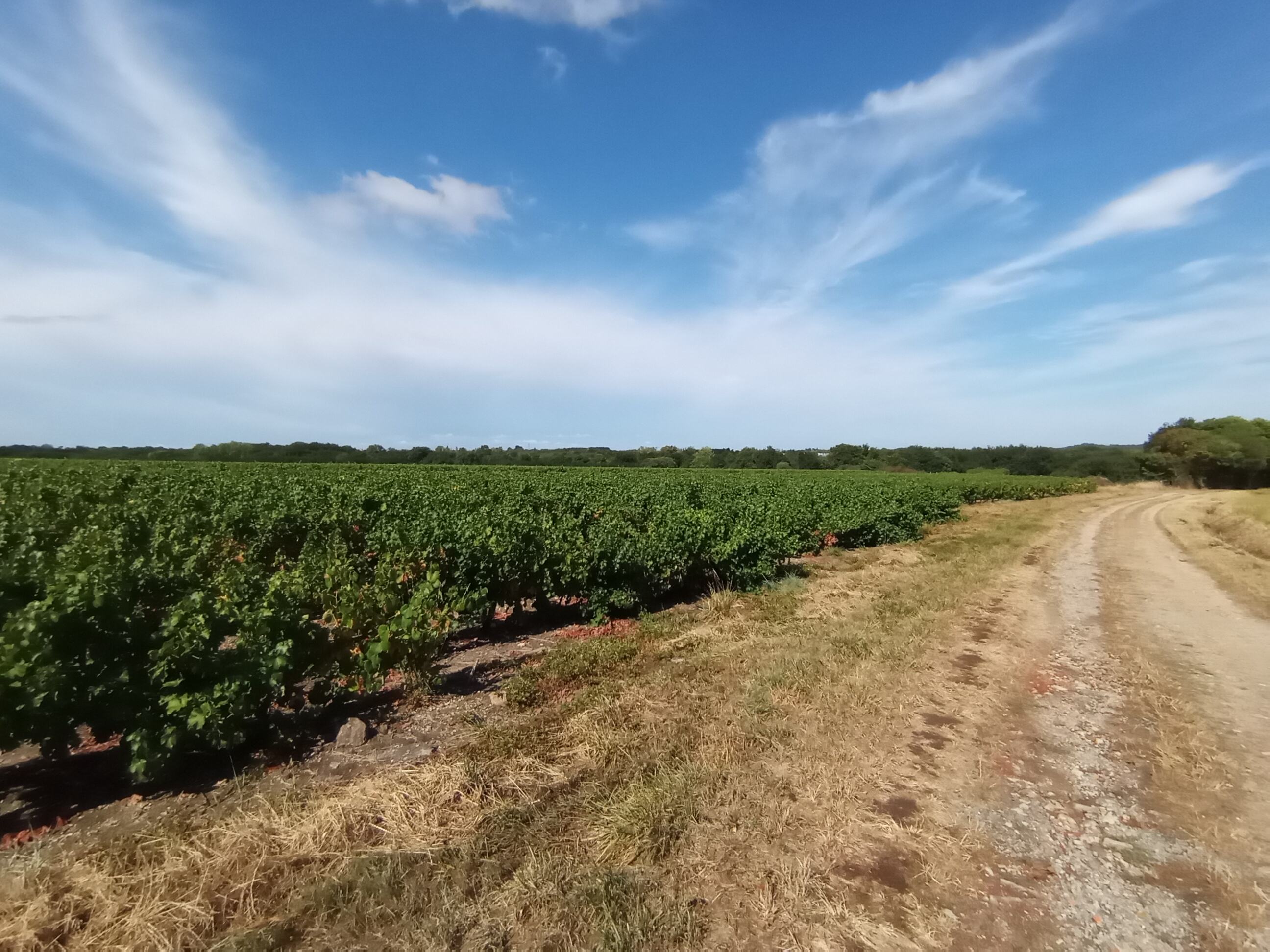 pbrppimg-srchttpsiforum-dechihonorcomfrdataimages202081278fd1fb8-dd7e