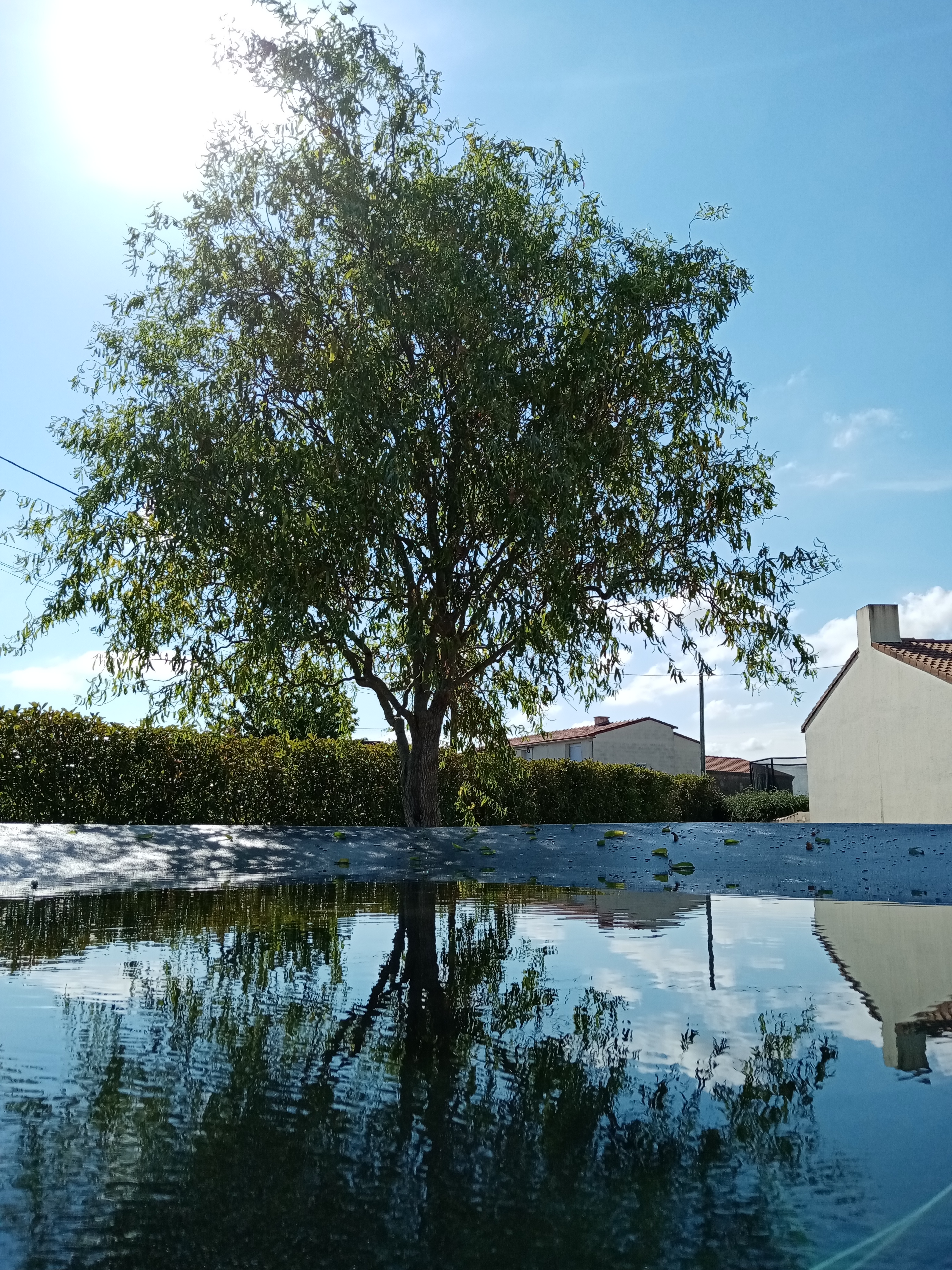 pbrppimg-srchttpsiforum-dechihonorcomfrdataimages202081278fd1fb8-dd7e