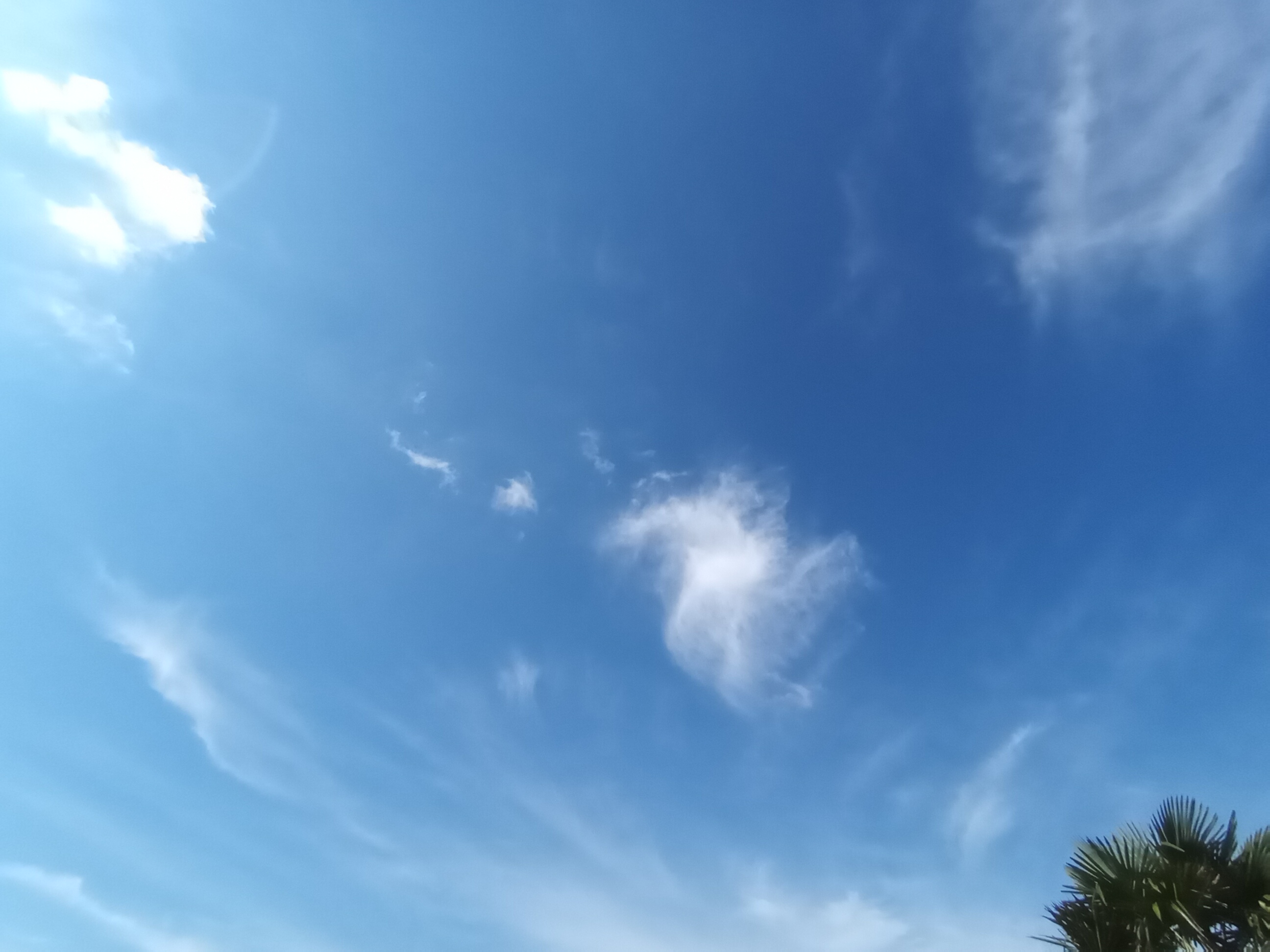 pbrppimg-srchttpsiforum-dechihonorcomfrdataimages202081278fd1fb8-dd7e