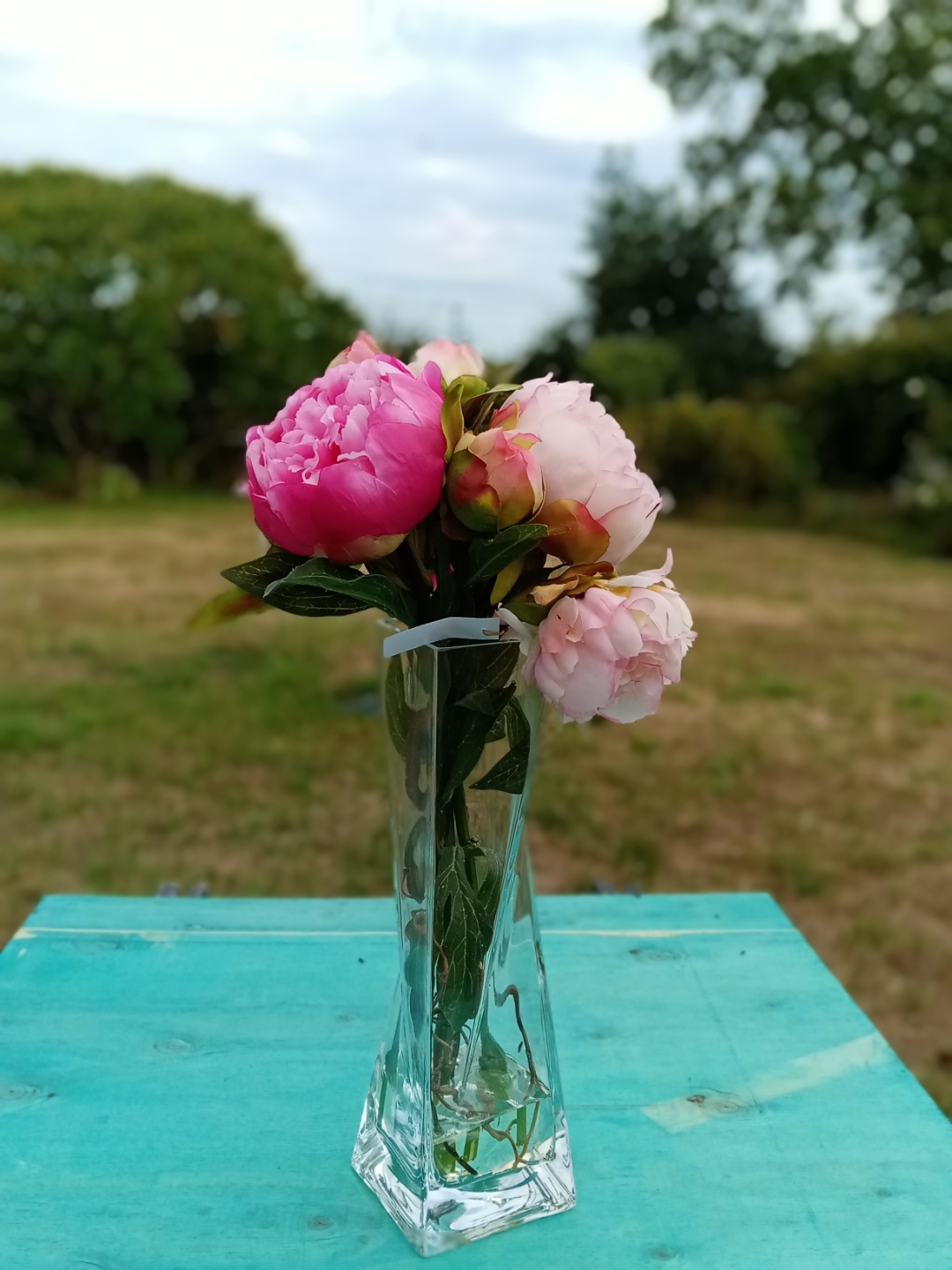 pimg-srchttpsiforum-dechihonorcomfrdataimages20208217b9b43b3-a123-403c