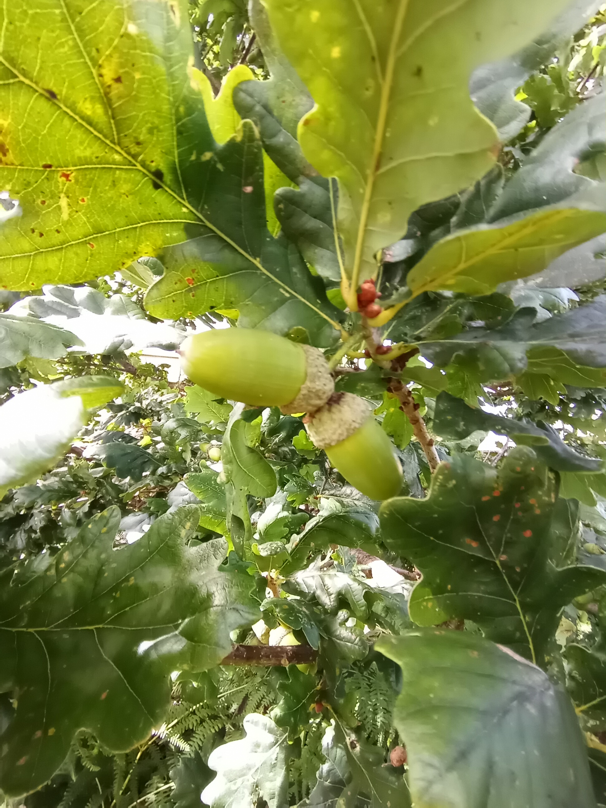 p-stylemargin-bottom-0cm-line-height-100spanBonjour-à-tous-mes