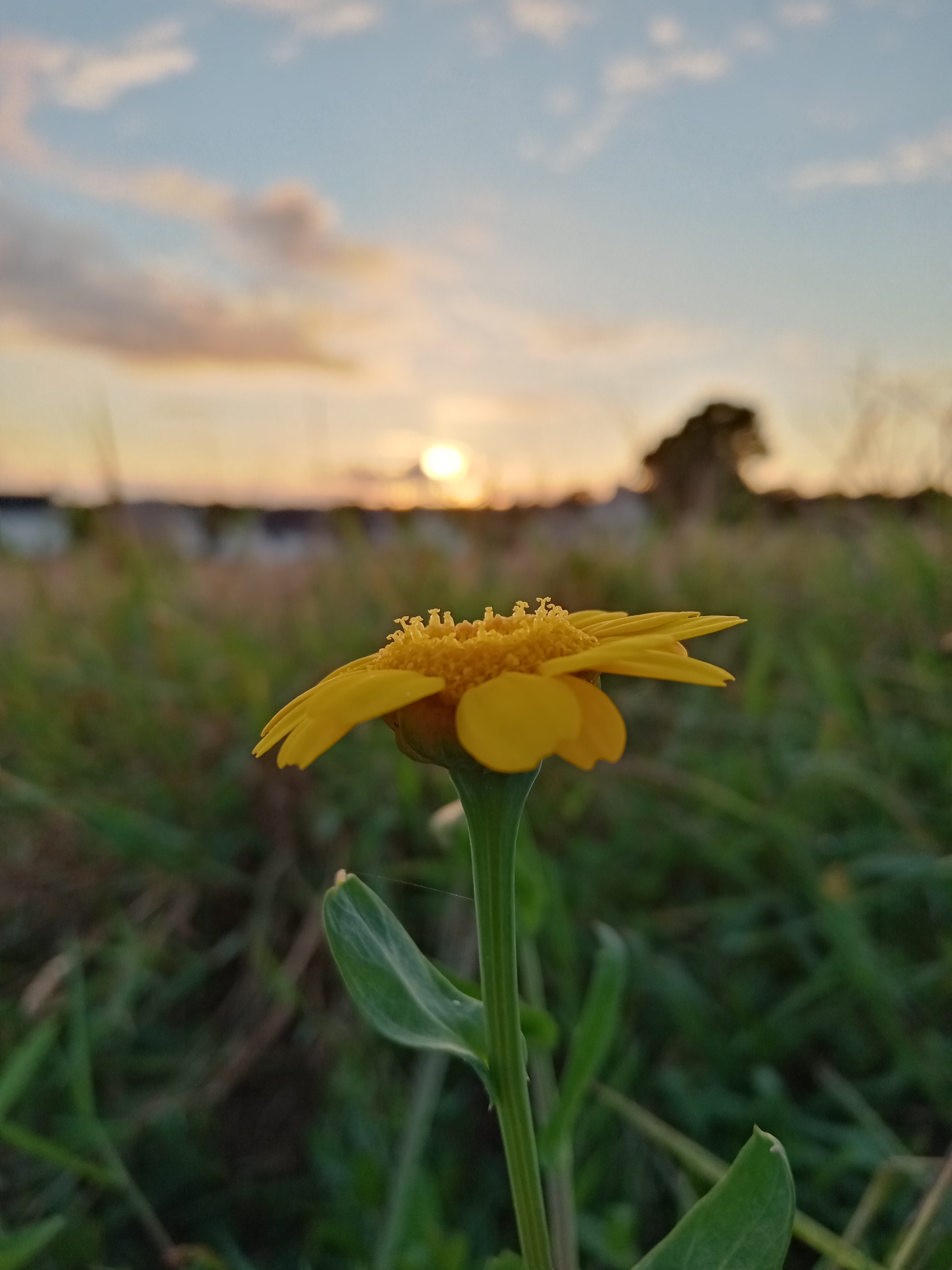 p-stylemargin-bottom-0cm-line-height-100spanBonjour-à-tous-mes