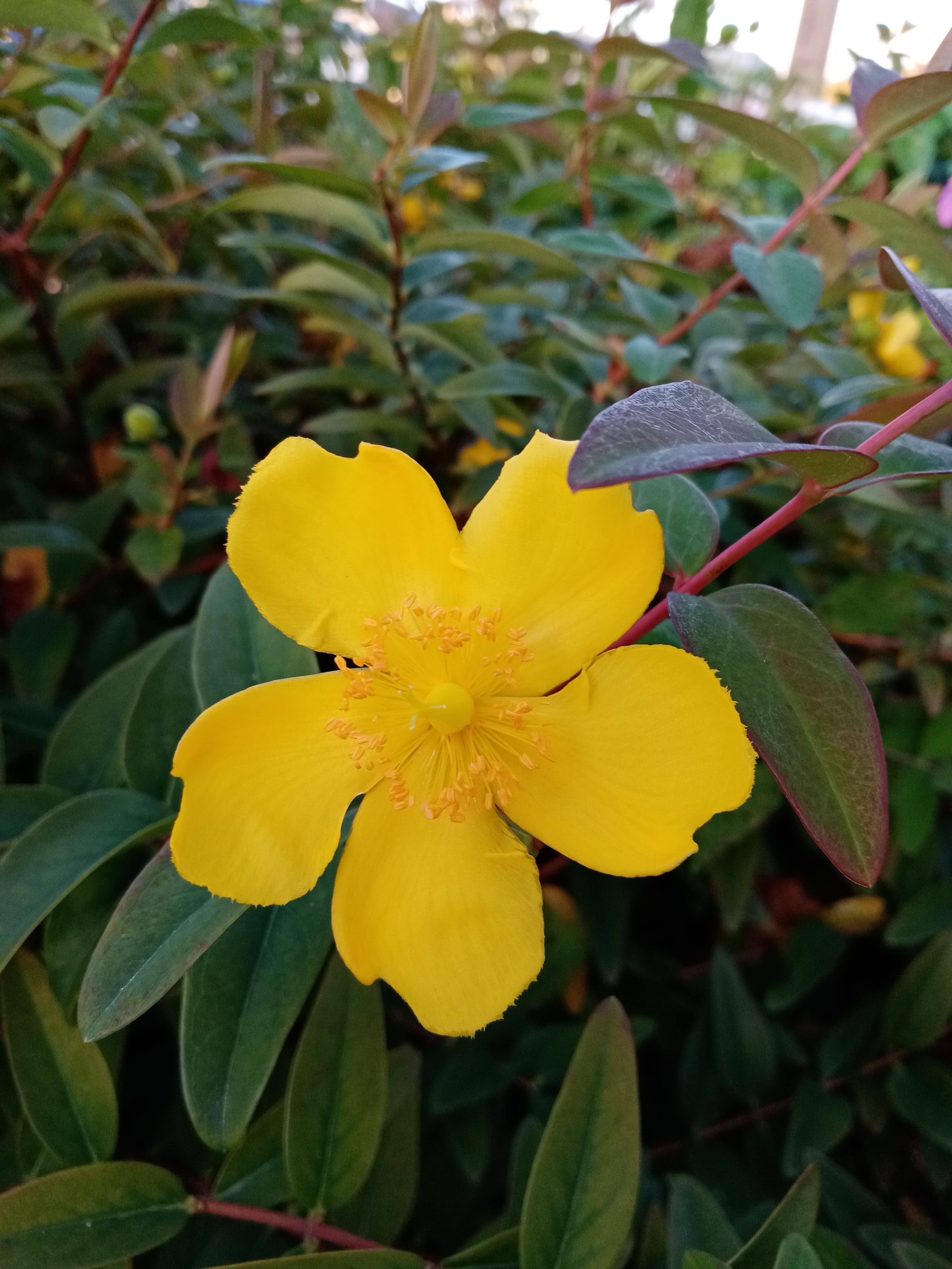 p-stylemargin-bottom-0cm-line-height-100spanBonjour-à-tous-mes