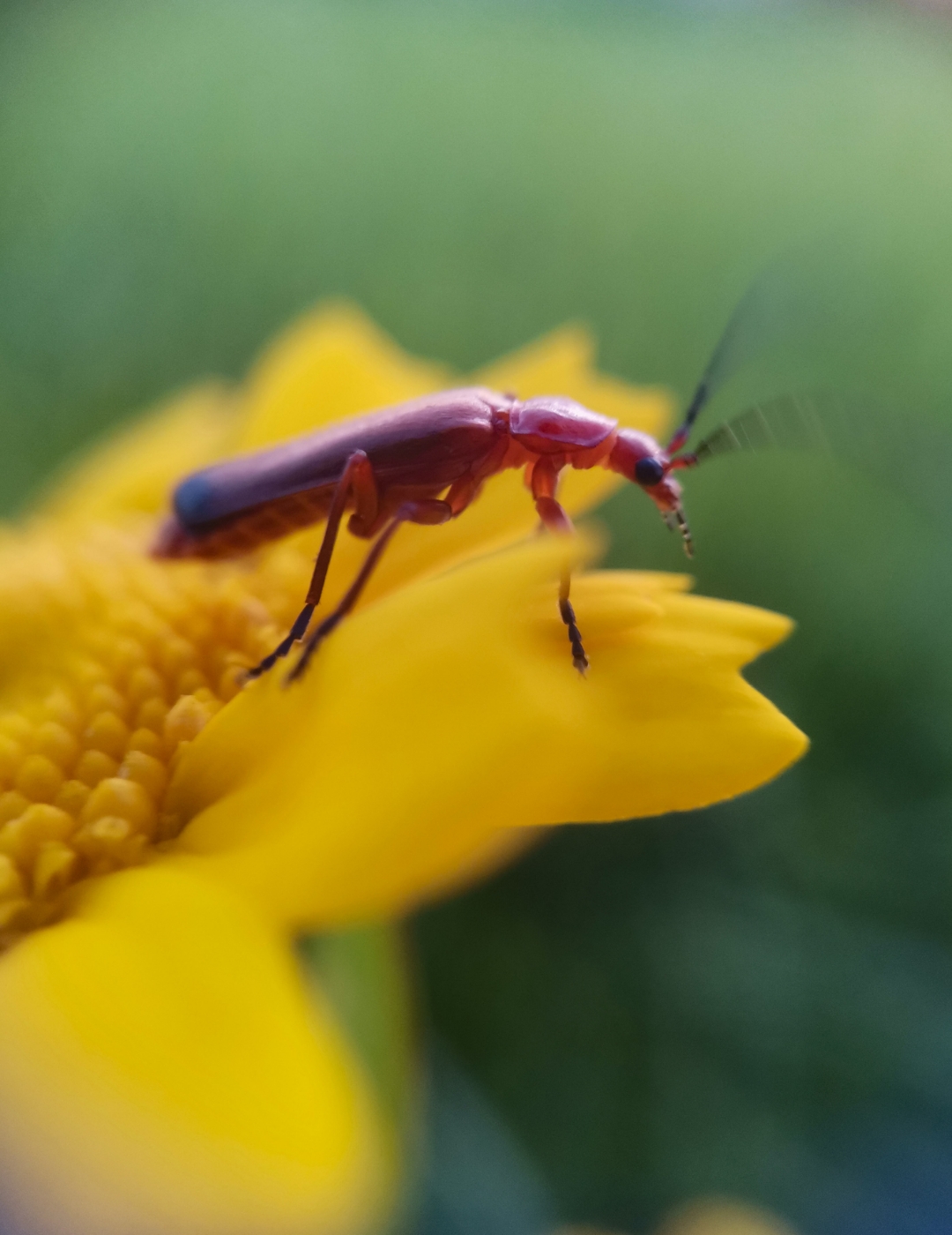 pspan-styleletter-spacing-009pxstrongem-styleBonjour-à-tous-mes-très