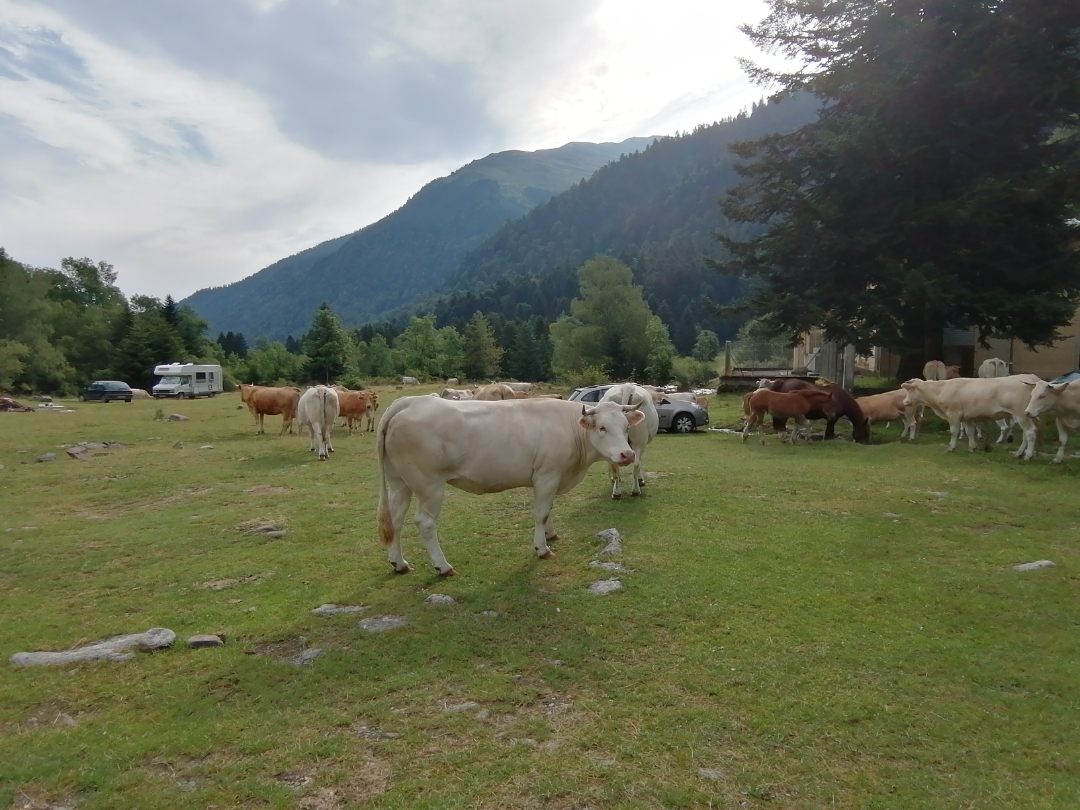 pimg-srchttpsiforum-dechihonorcomfrdataimages2020850c1abeff-e0d6-4df2