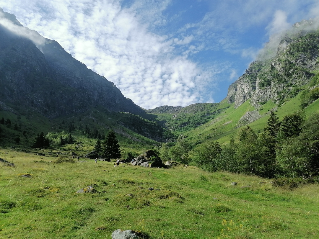 pimg-srchttpsiforum-dechihonorcomfrdataimages2020850c1abeff-e0d6-4df2