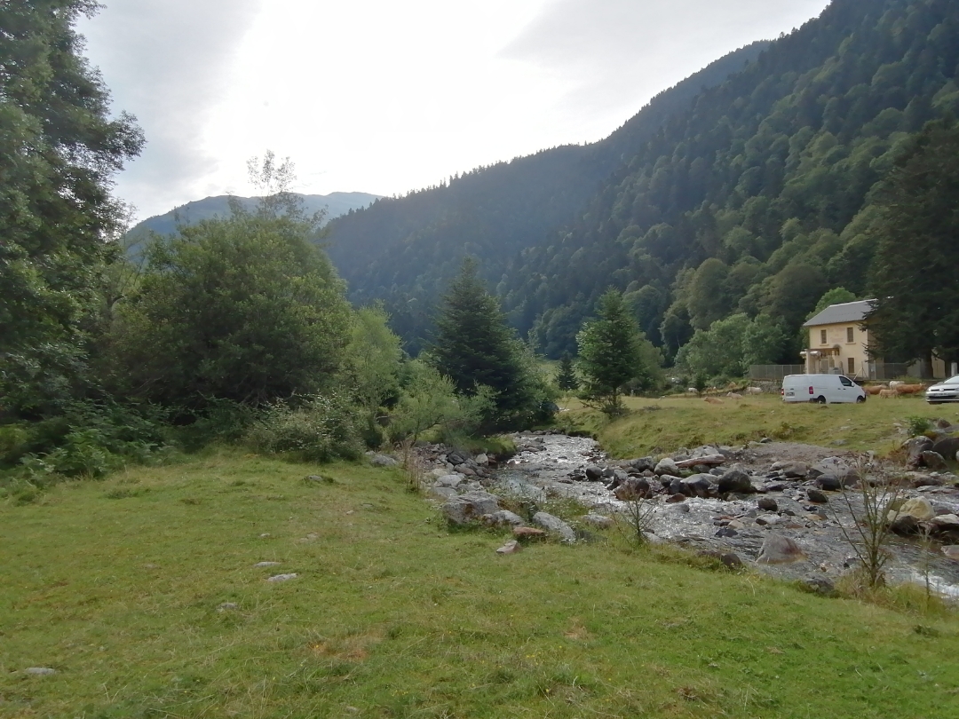 pimg-srchttpsiforum-dechihonorcomfrdataimages2020850c1abeff-e0d6-4df2