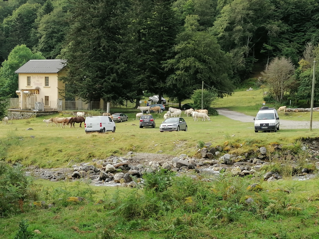 pimg-srchttpsiforum-dechihonorcomfrdataimages2020850c1abeff-e0d6-4df2