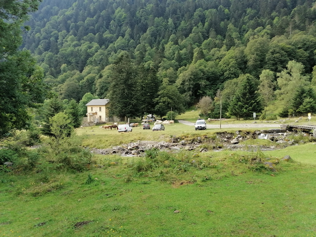 pimg-srchttpsiforum-dechihonorcomfrdataimages2020850c1abeff-e0d6-4df2