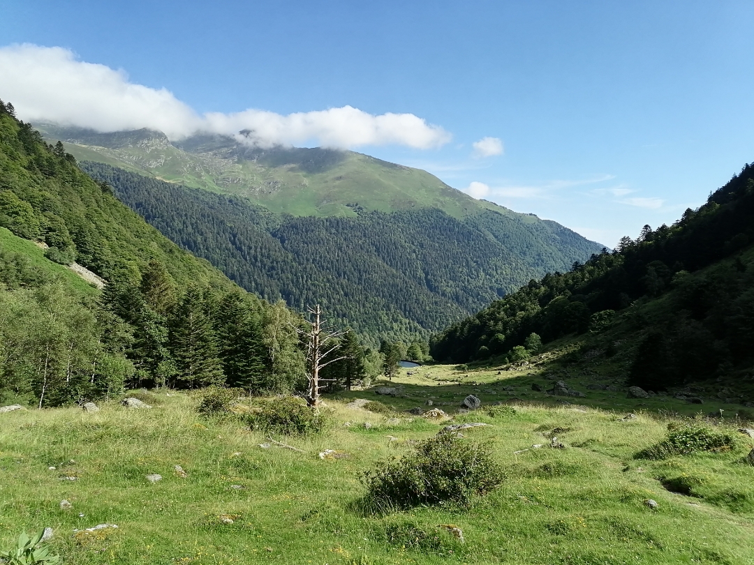 pimg-srchttpsiforum-dechihonorcomfrdataimages2020850c1abeff-e0d6-4df2