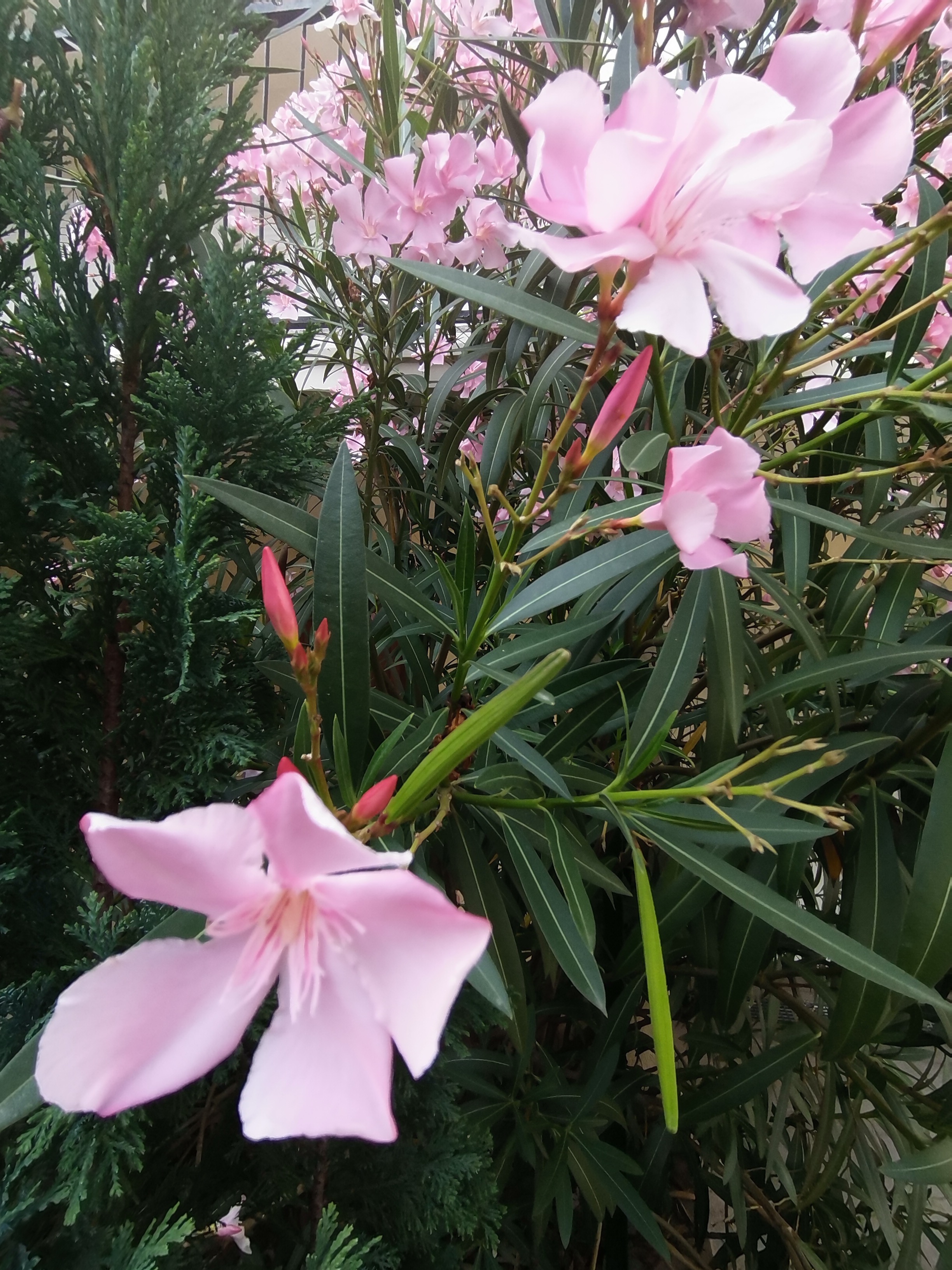 p-stylemargin-top-0px-margin-bottom-0px-max-width-100-overflow-wrap