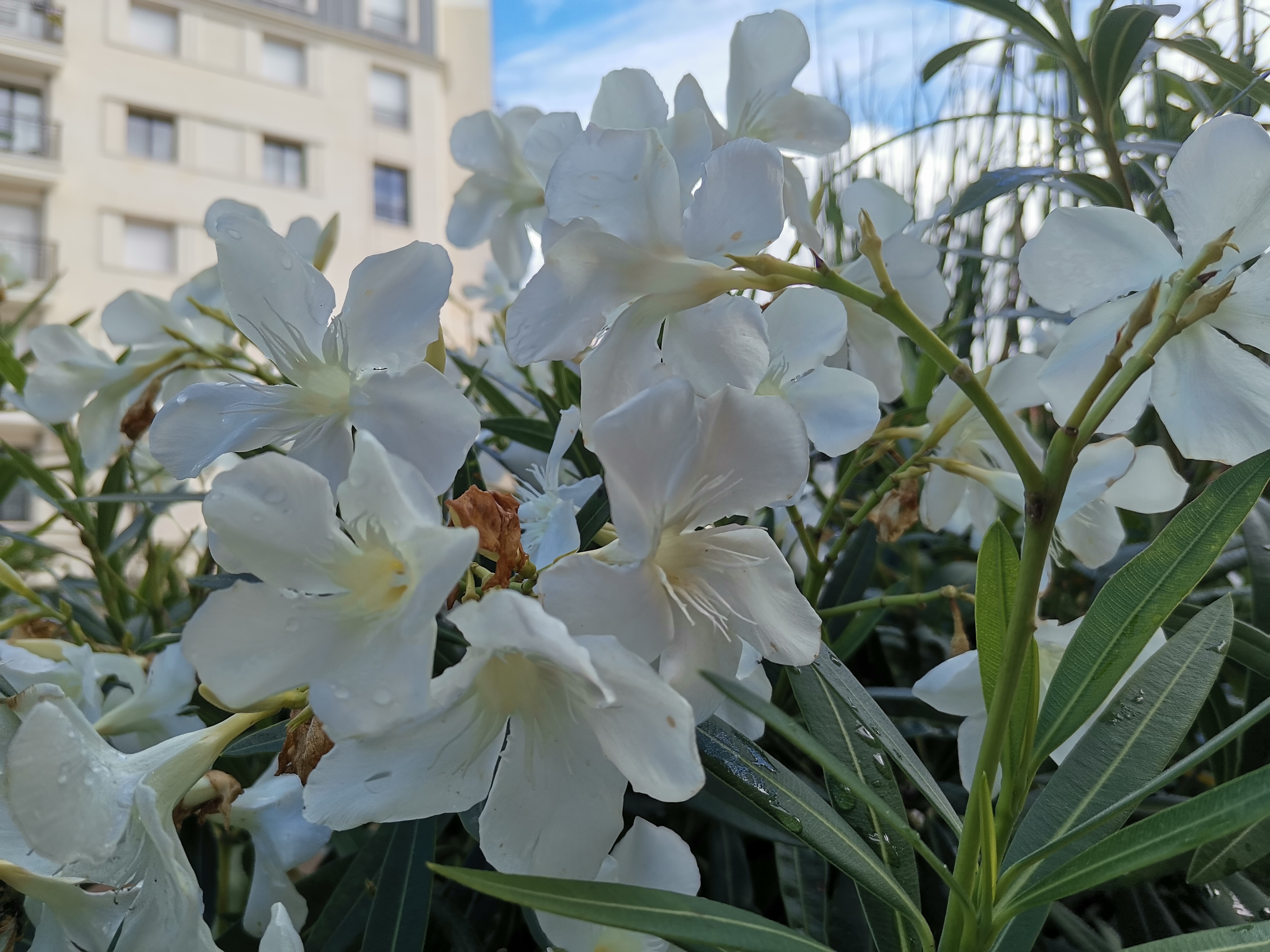 p-stylemargin-top-0px-margin-bottom-0px-max-width-100-overflow-wrap