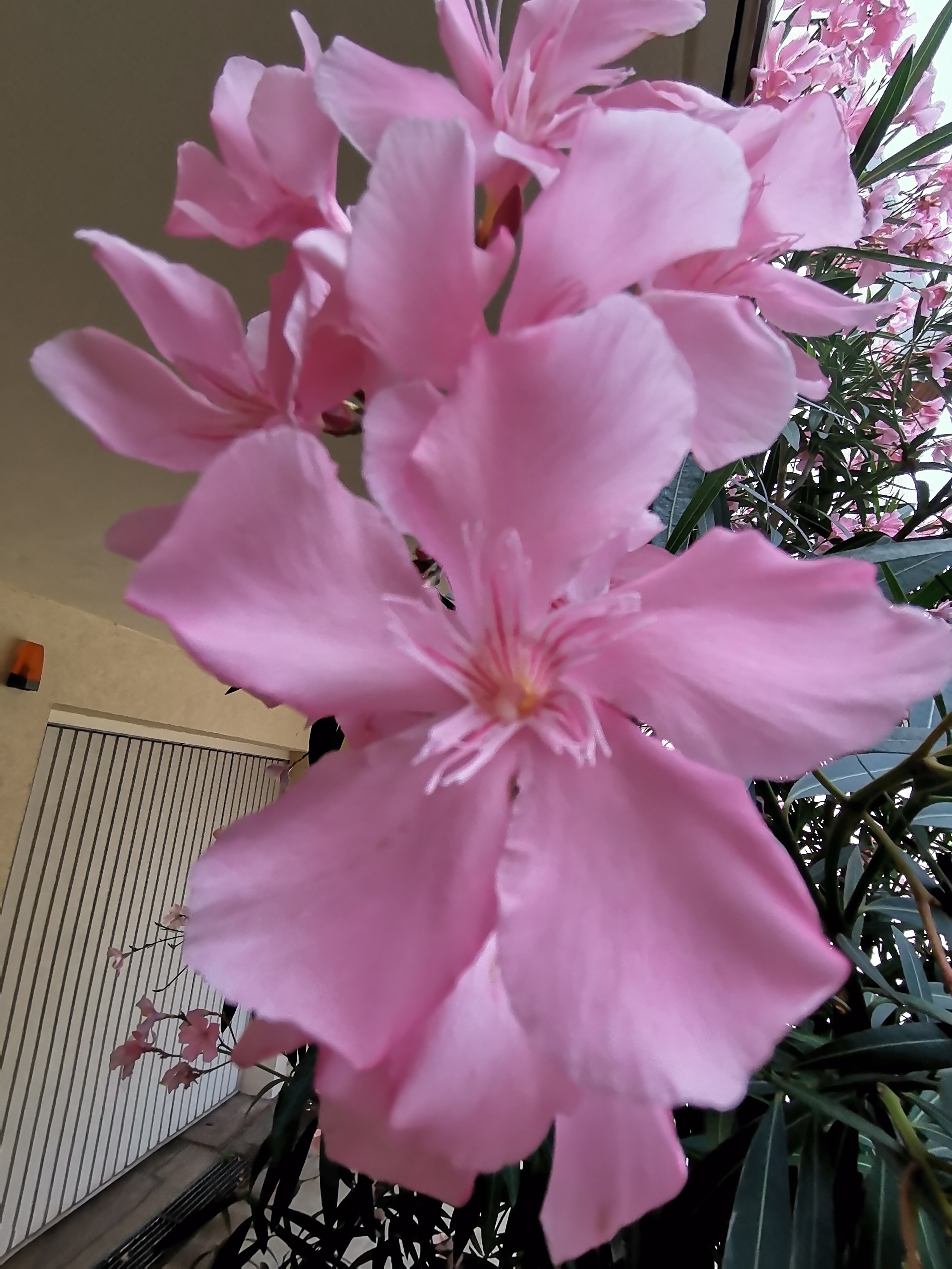 p-stylemargin-top-0px-margin-bottom-0px-max-width-100-overflow-wrap