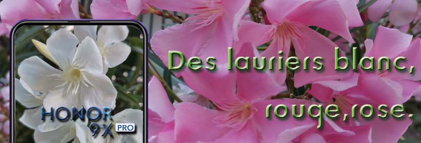 p-stylemargin-top-0px-margin-bottom-0px-max-width-100-overflow-wrap