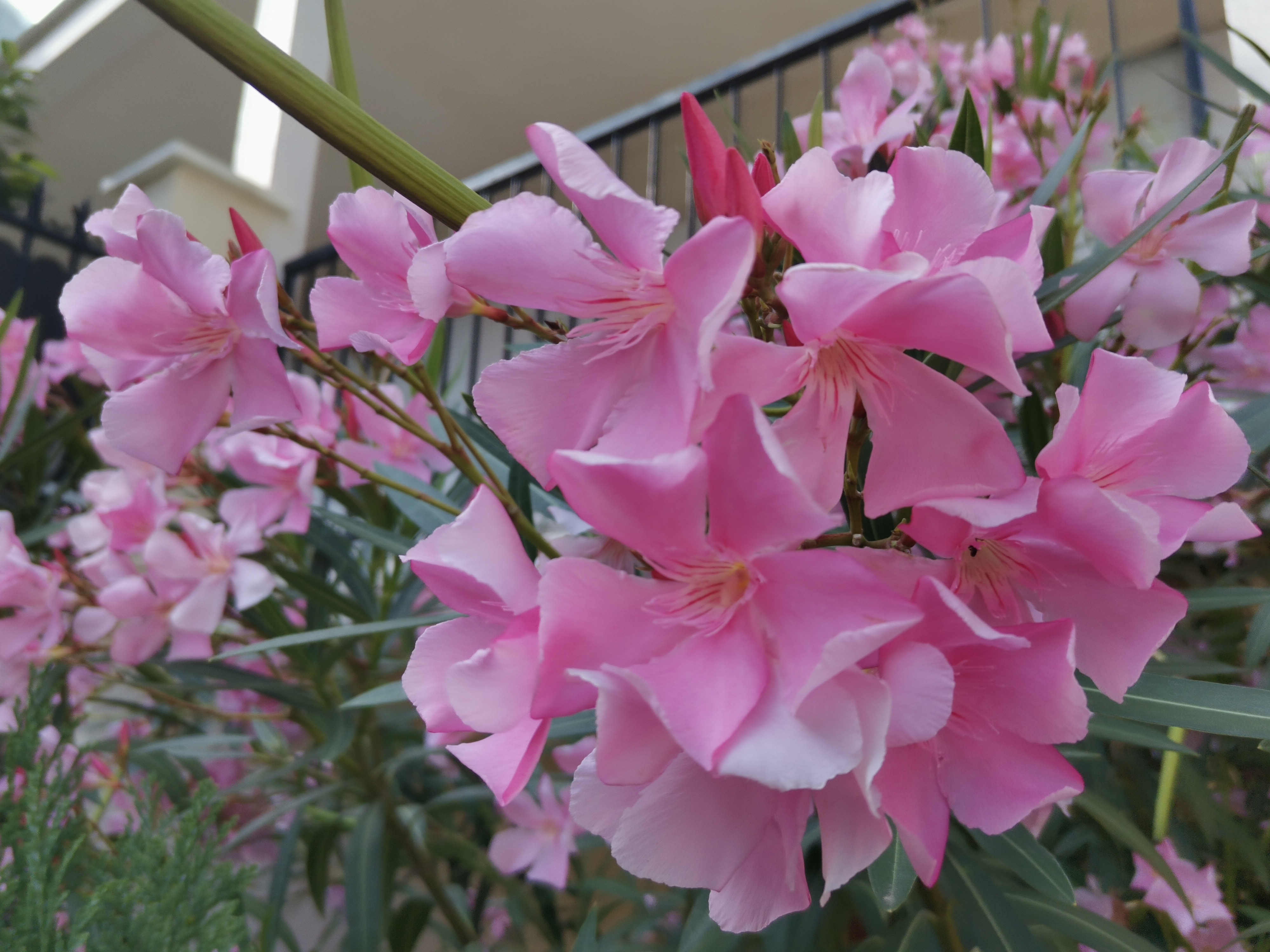 p-stylemargin-top-0px-margin-bottom-0px-max-width-100-overflow-wrap