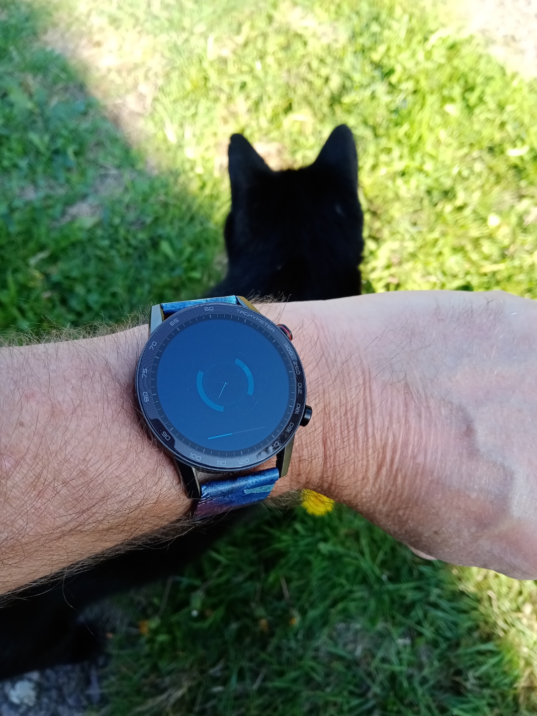 pimg-srchttpsiforum-dechihonorcomfrdataimages202091369fea935-5b5d-4927