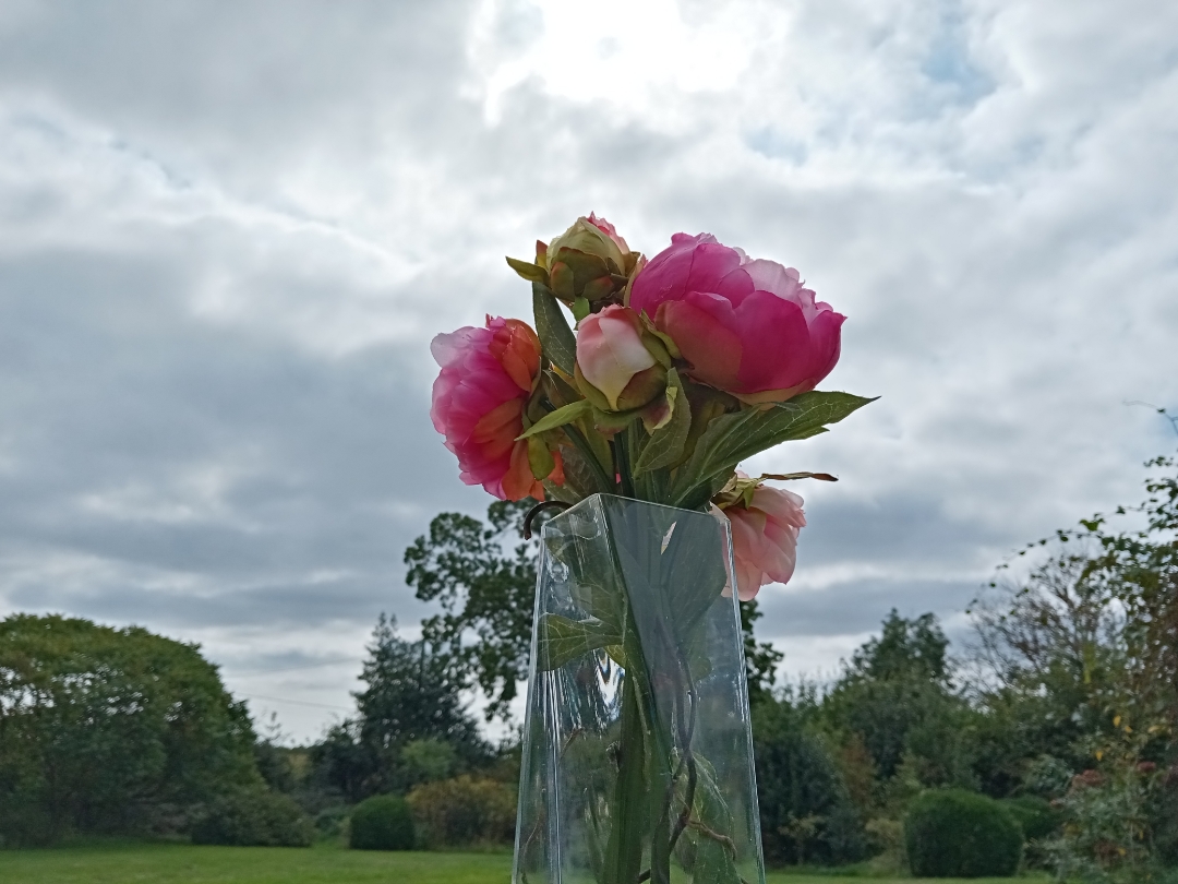 pBonjour-ppAujourdhui-nous-allons-parler-du-contre-jour-en