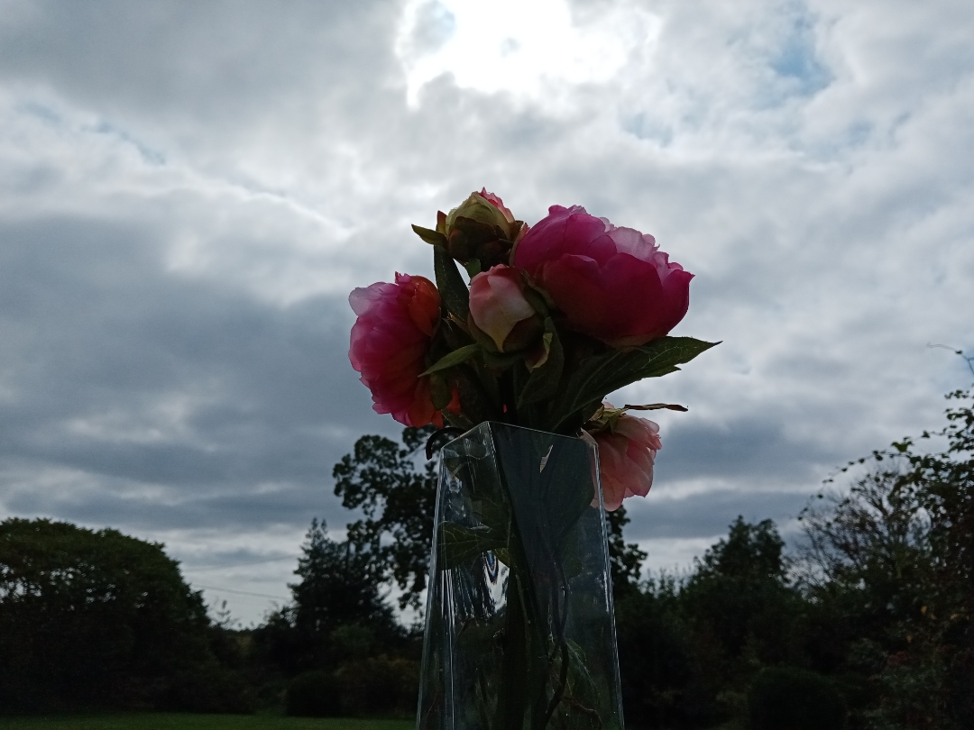 pBonjour-ppAujourdhui-nous-allons-parler-du-contre-jour-en