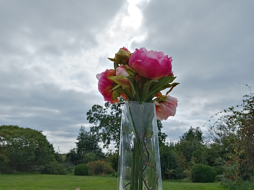 pBonjour-ppAujourdhui-nous-allons-parler-du-contre-jour-en