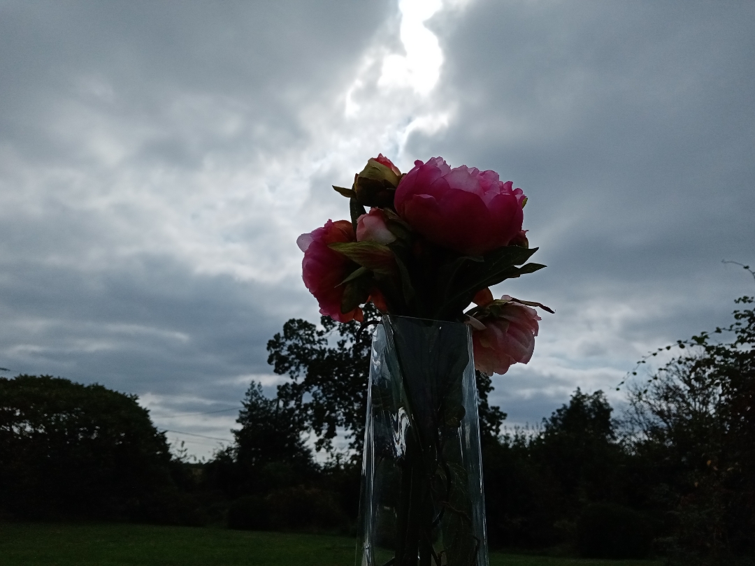 pBonjour-ppAujourdhui-nous-allons-parler-du-contre-jour-en