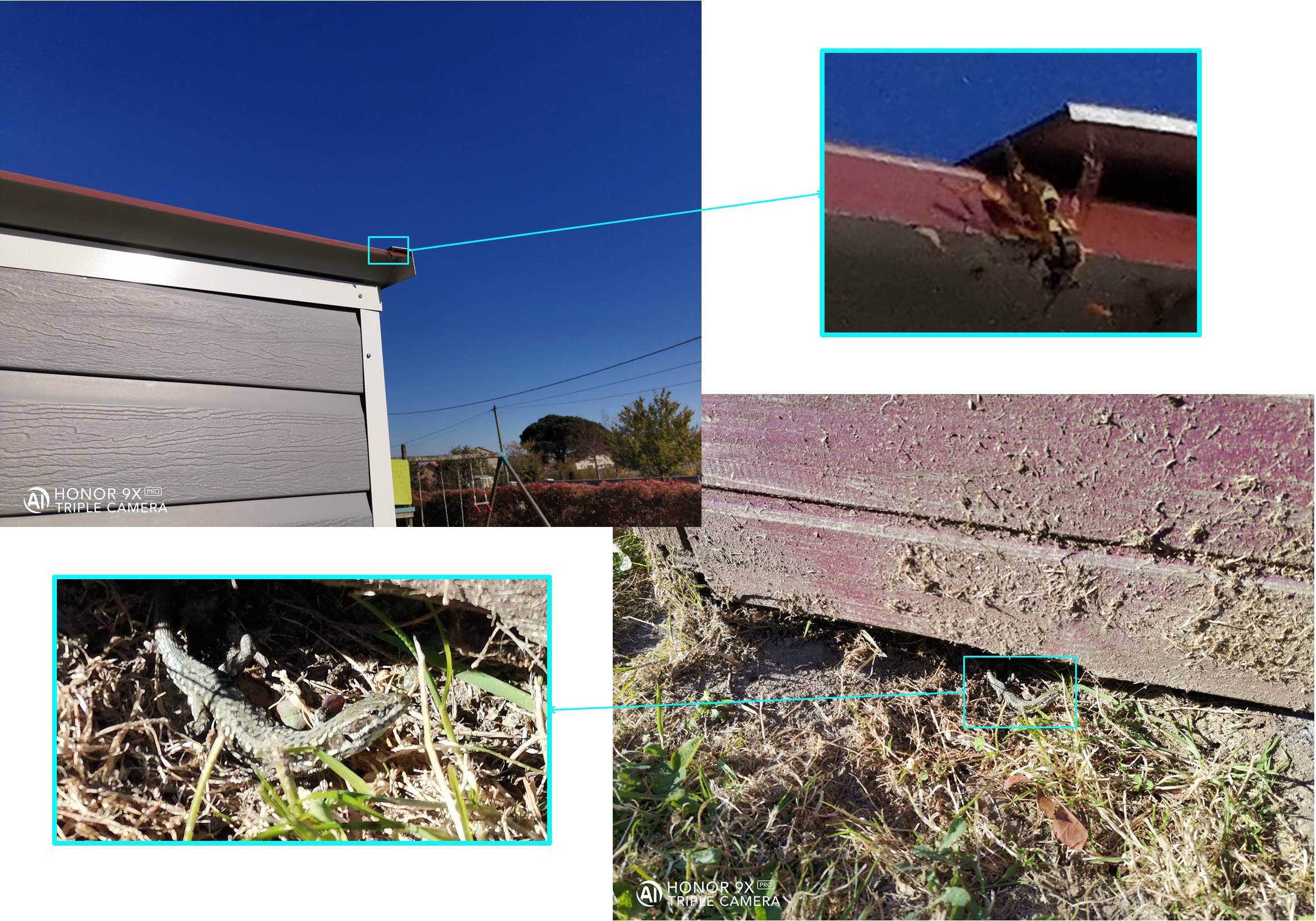 HONOR-9X-PRO-Un-excellent-photophone-