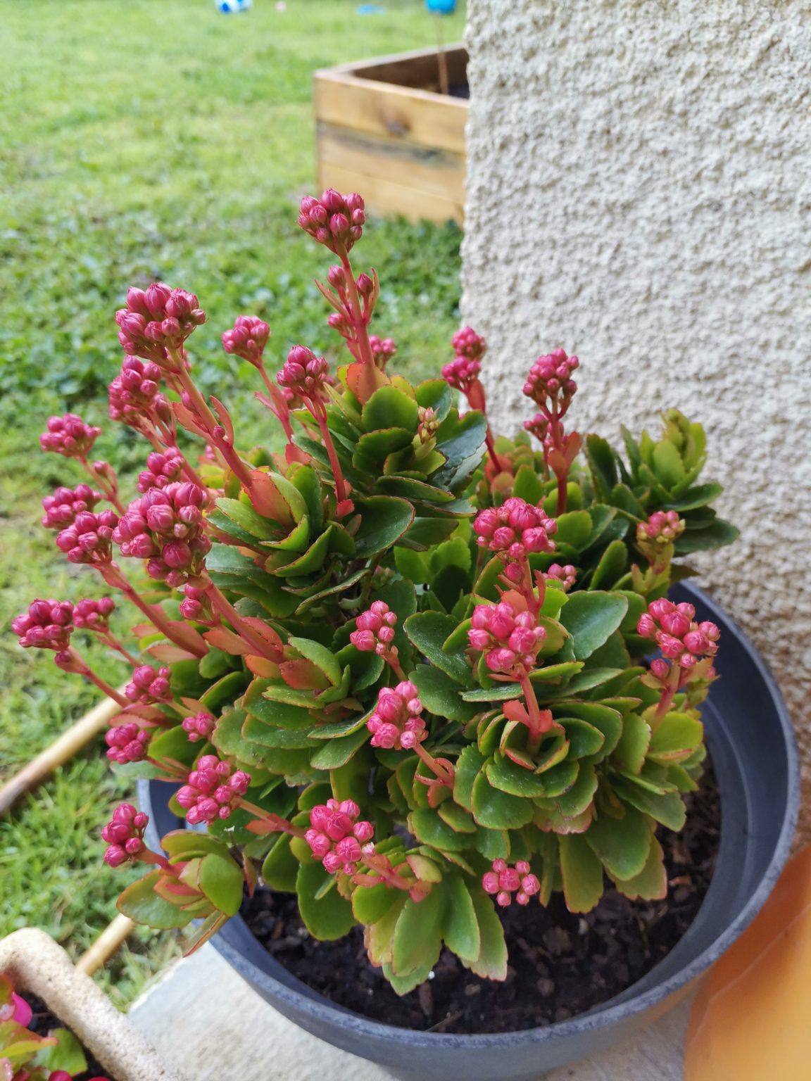 Honor-9X-PRO-test-avis-prise-en-main-trucs-et-astuces