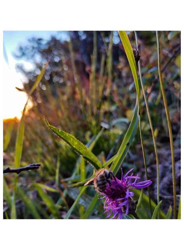 pspan-stylefont-size16pxHello-les-fans-spanppspan-stylefont