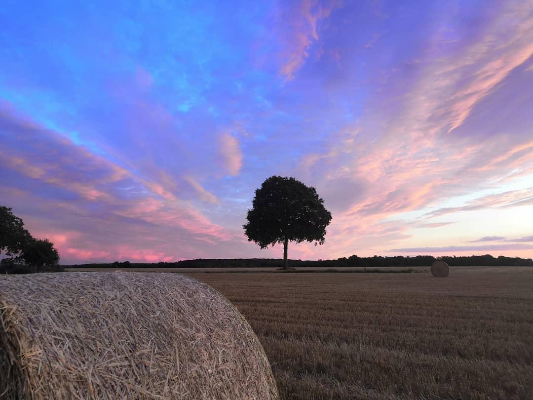 pspan-stylefont-size16pxHello-les-fans-spanppspan-stylefont