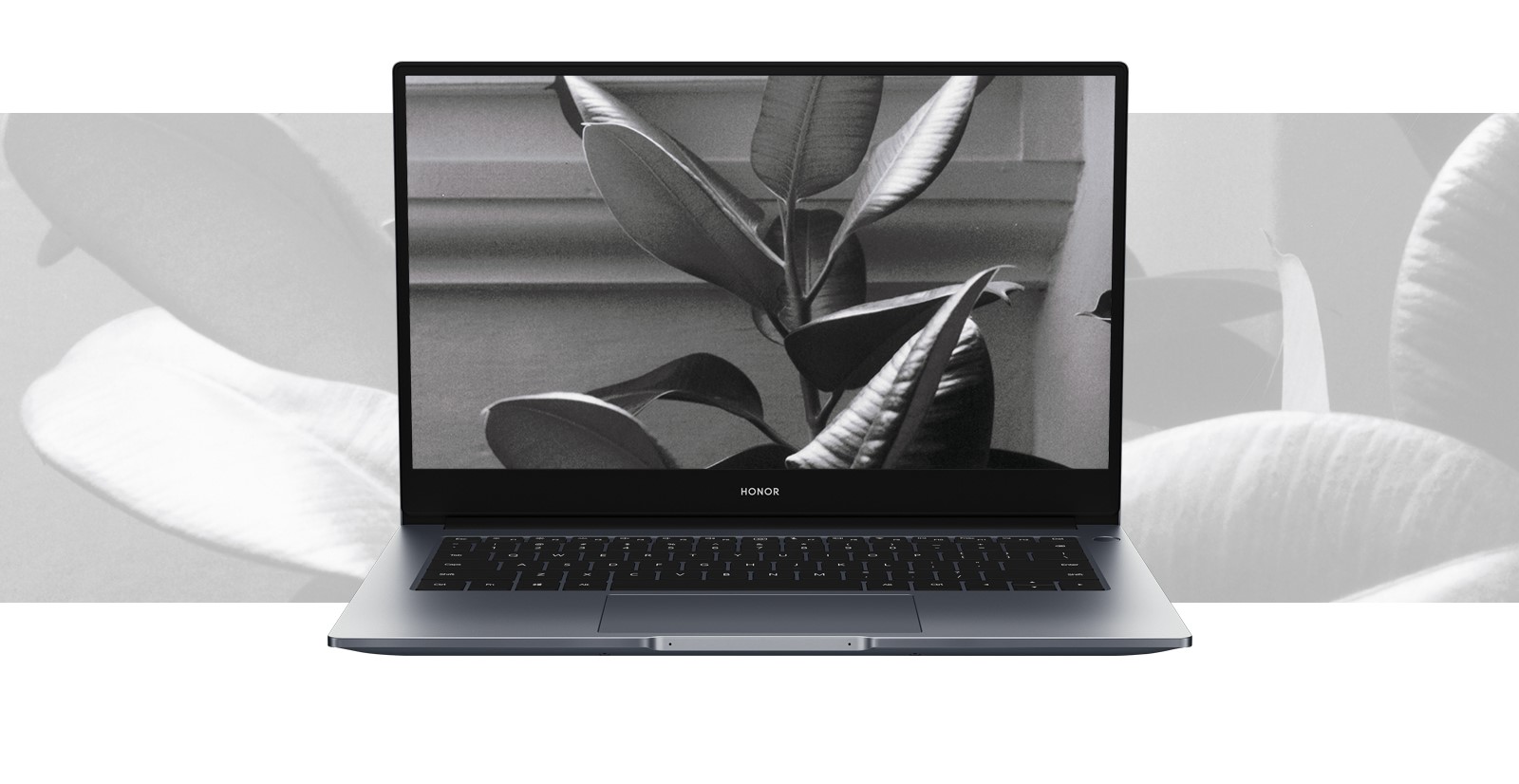 Wallpaper-Fonds-décran-incroyables-pour-votre-HONOR-Magicbook