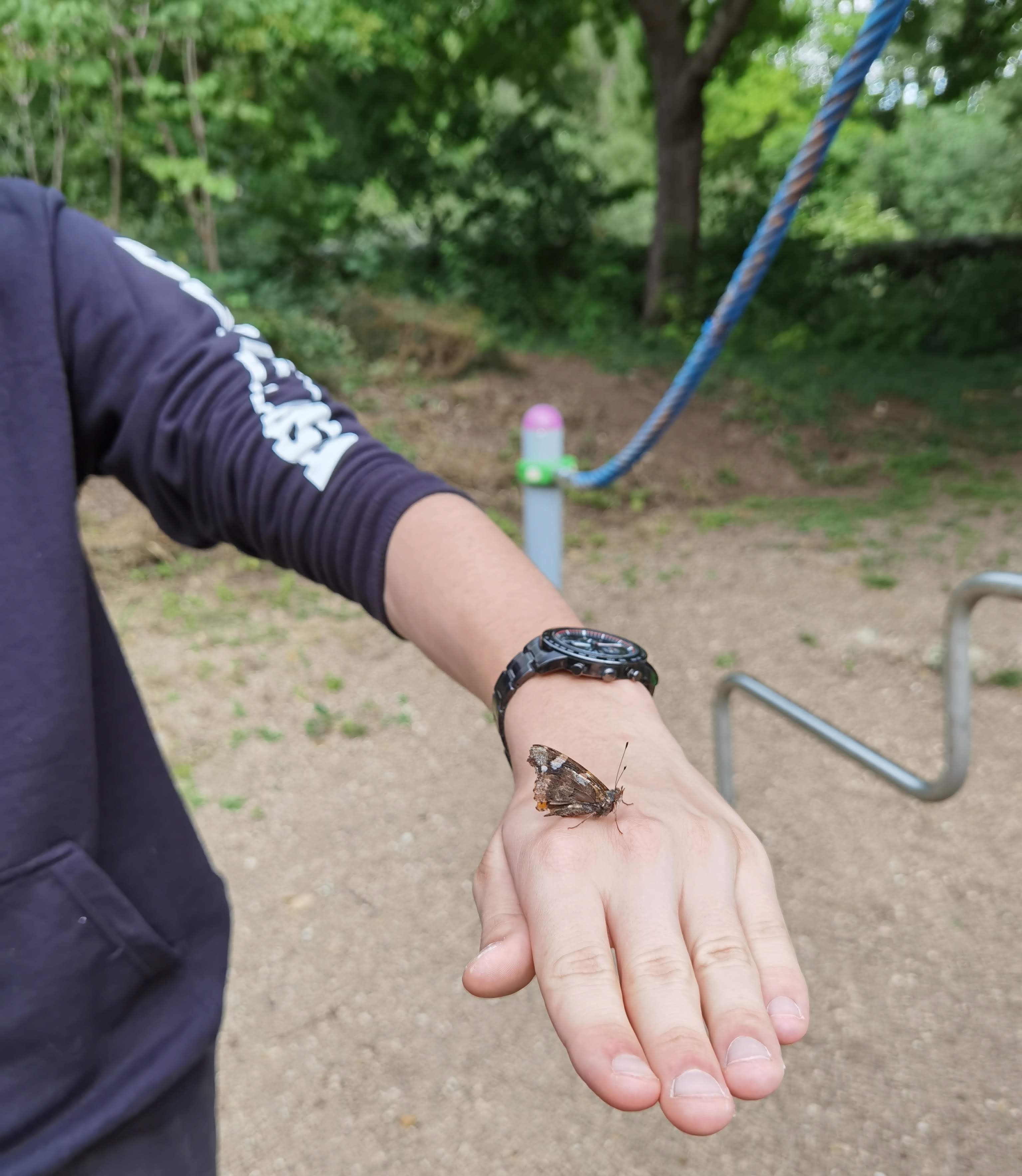 Reviews-Le-HONOR-9A-le-nouveau-budget-king