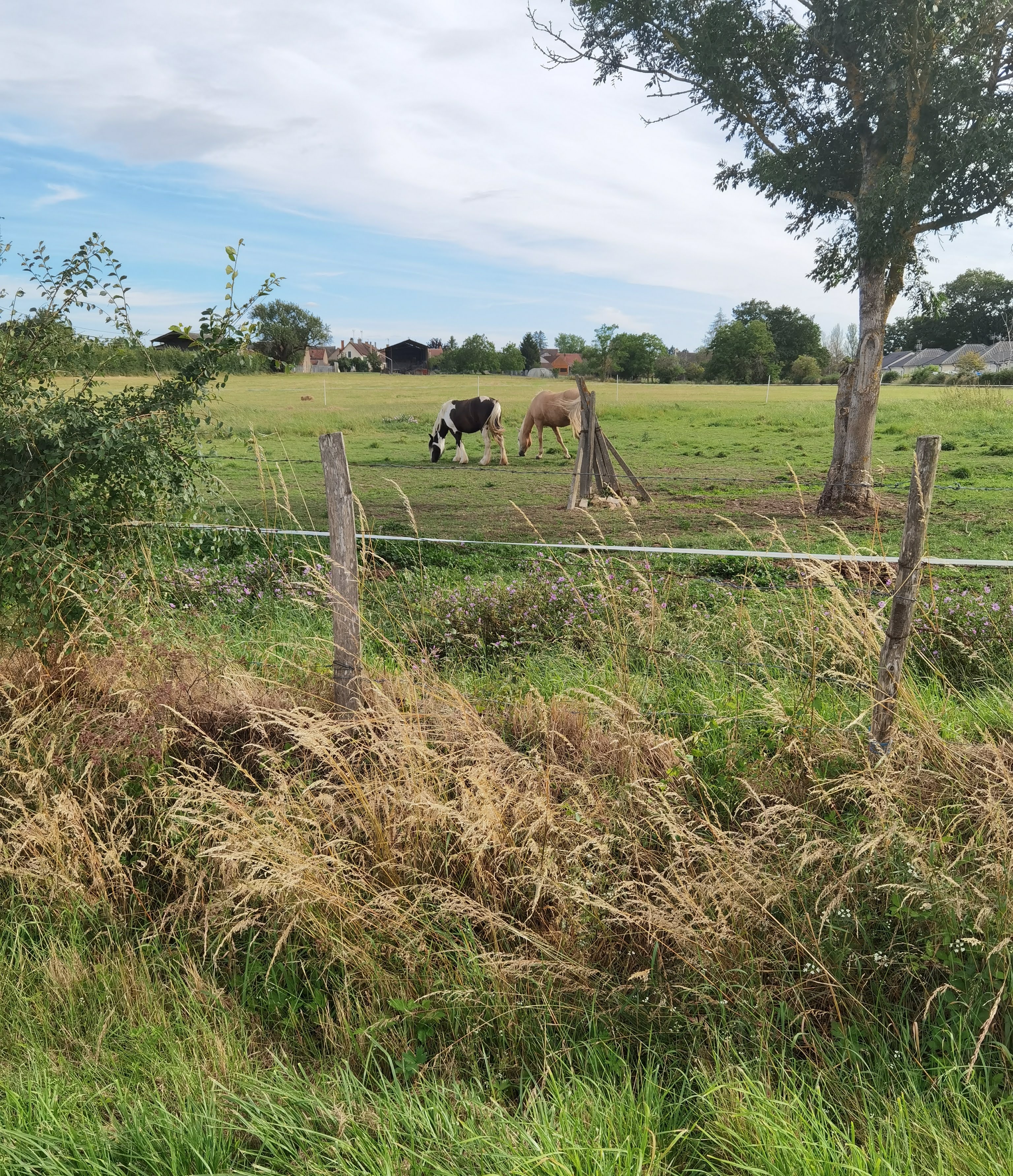 Reviews-Le-HONOR-9A-le-nouveau-budget-king