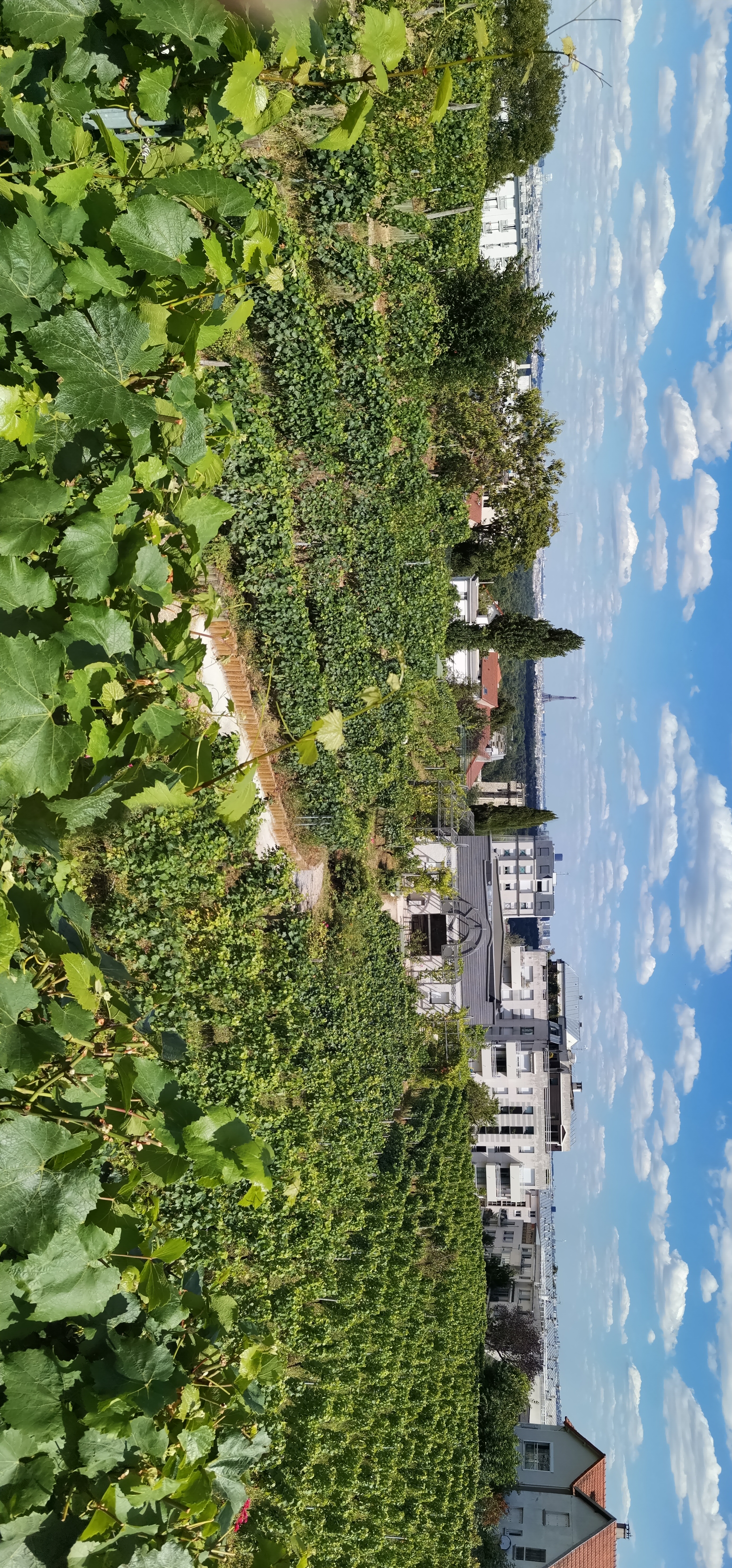 Capture-et-Partage-Panoramique-avec-le-HONOR-9X-PRO