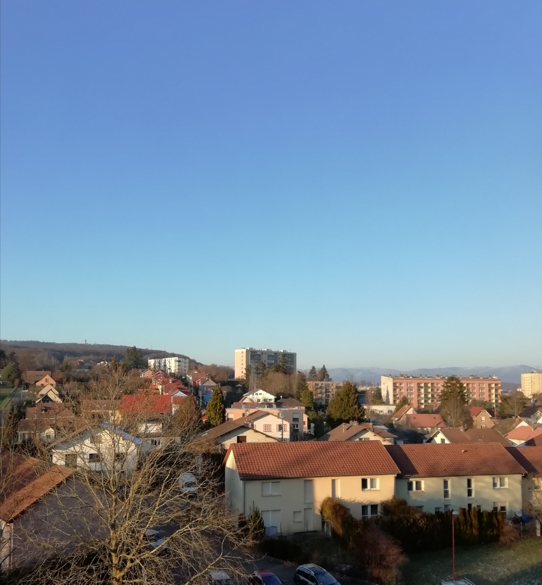 pimg-srchttpsiforum-dechihonorcomfrdataimages2021112e24155b6-8fbd-4790